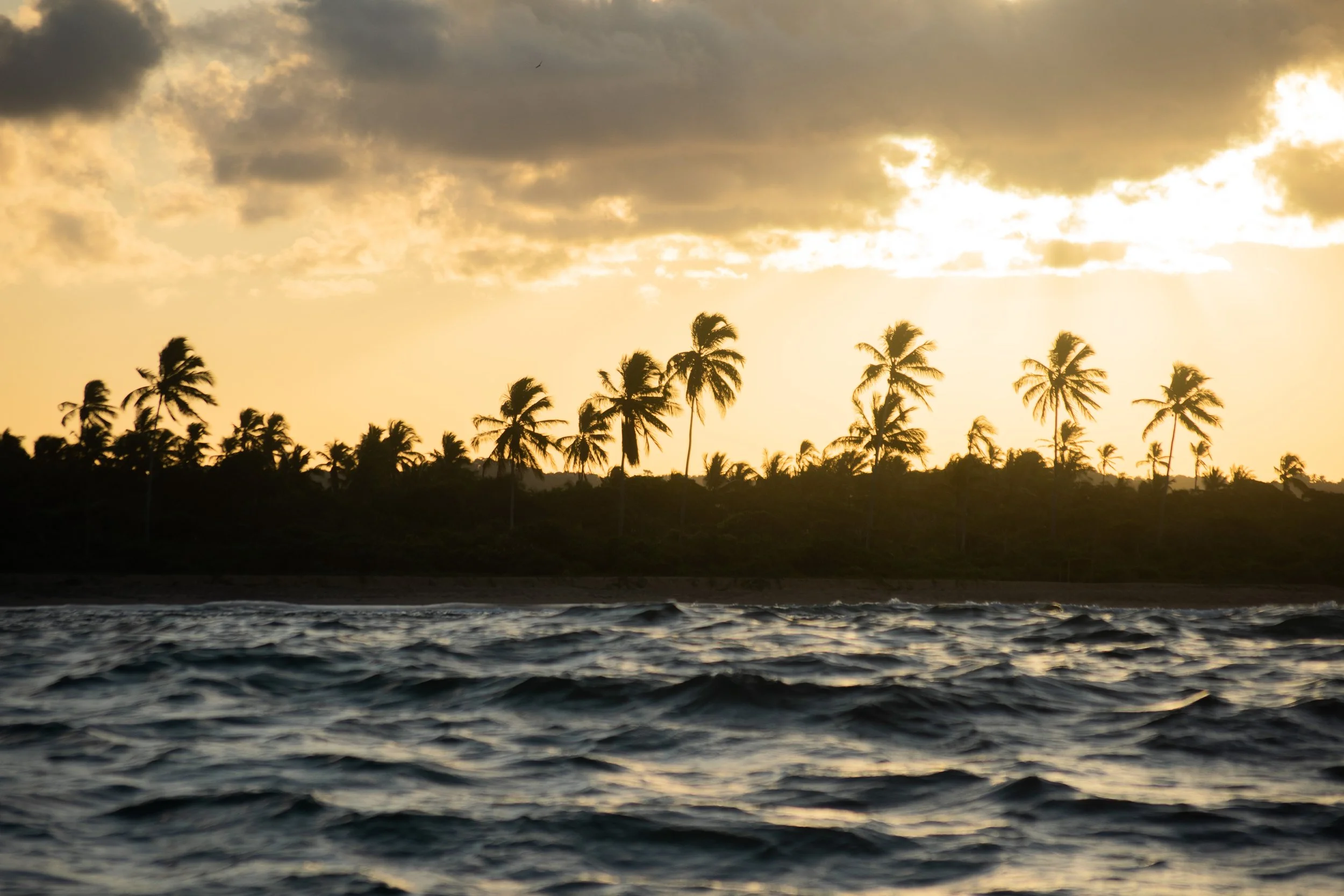 Sunset over the ocean with silhouette of palm trees on a tropical beach.