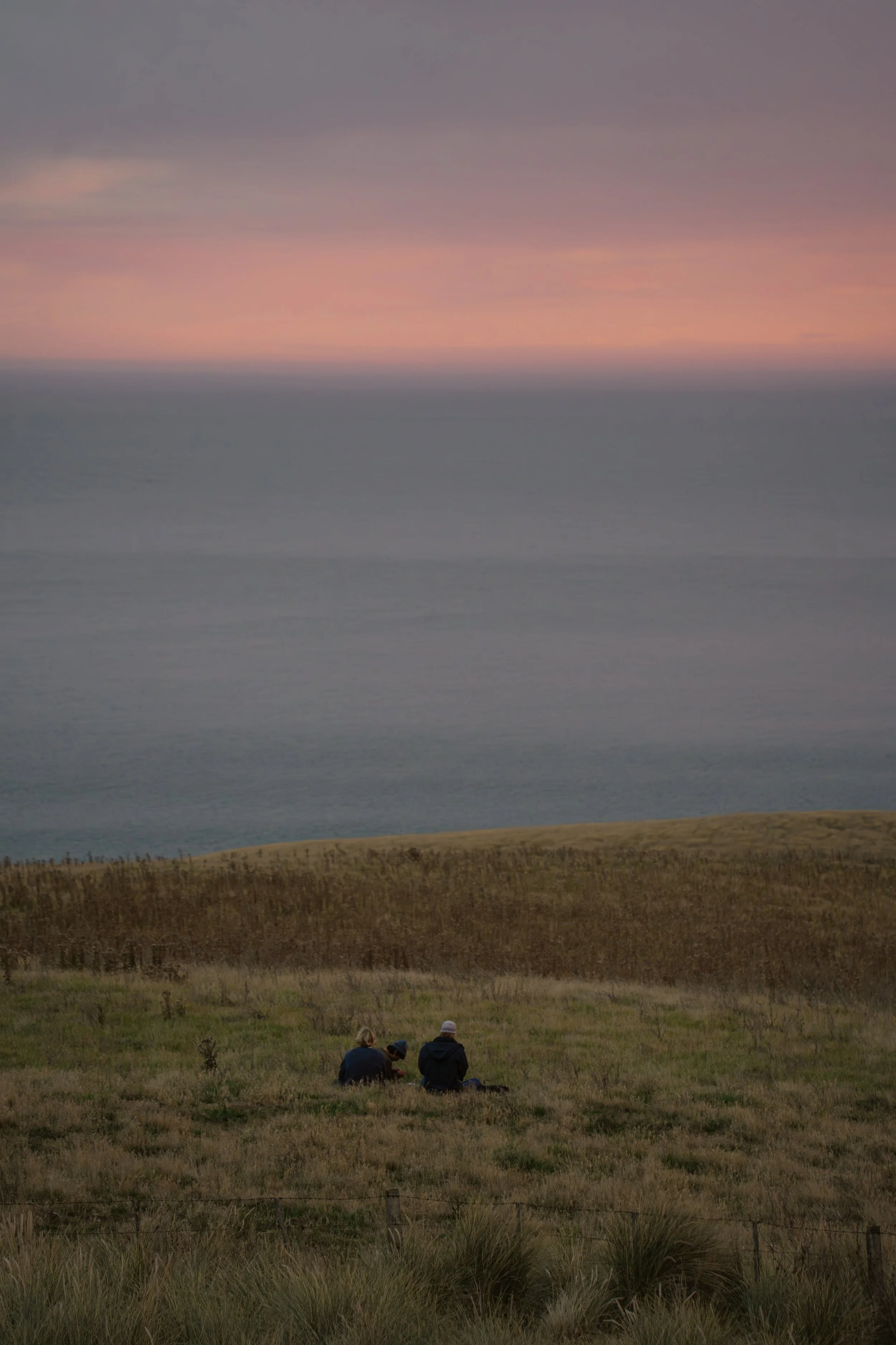 DSC05529-Enhanced-NR-2 2.JPG