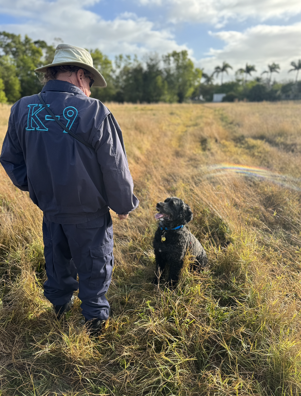 human remains detection dog