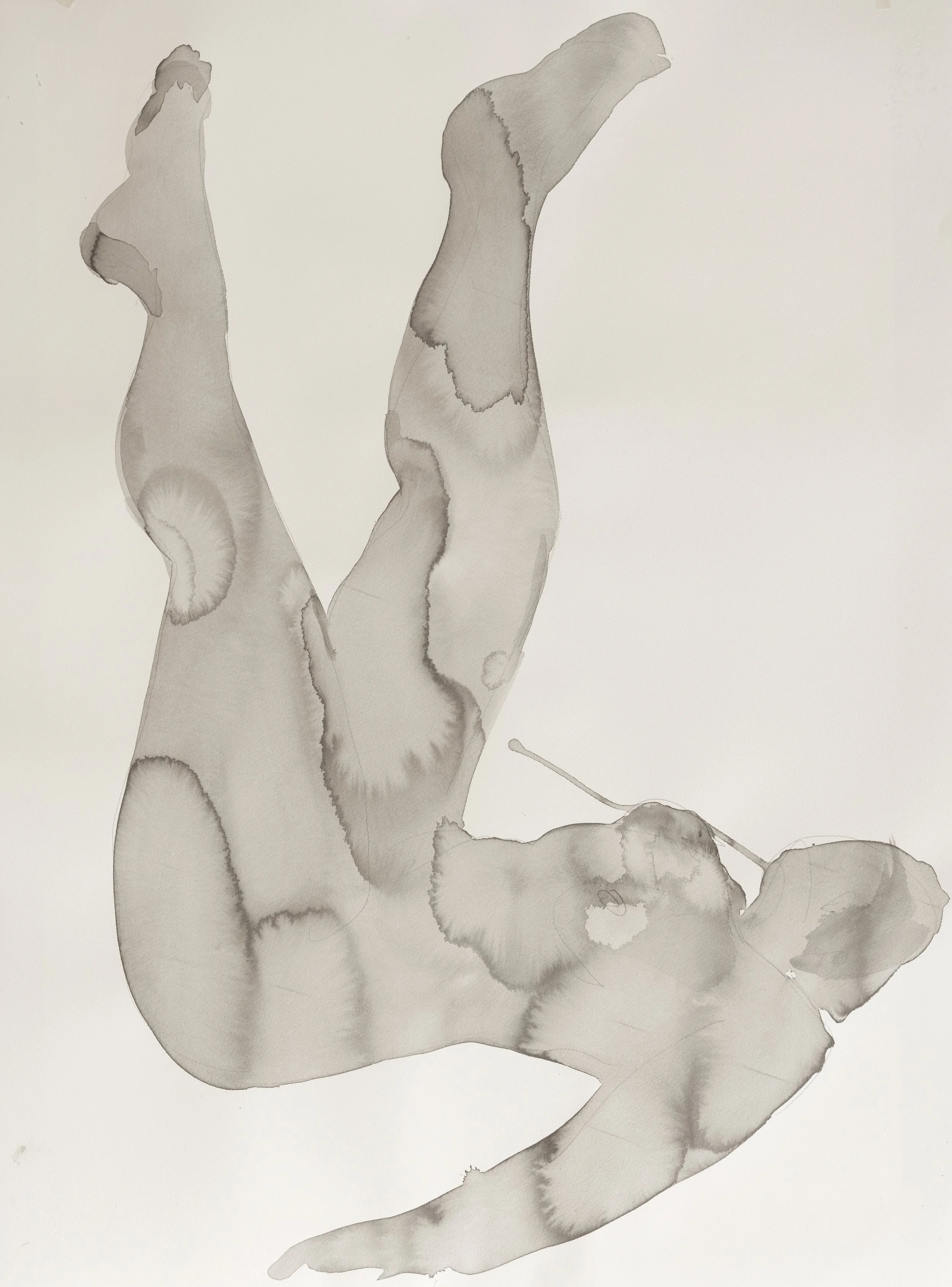   Nude study 2    
Indian ink and graphite on cartridge paper  
76x56 cm, 2026  
€1,490