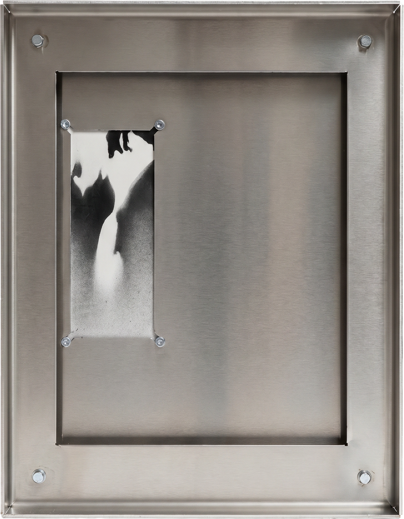   Demetris Agapiou    
Afterimage III  
Stainless steel and spray paint on cartilage paper  
 42 x 33 x 5 cm