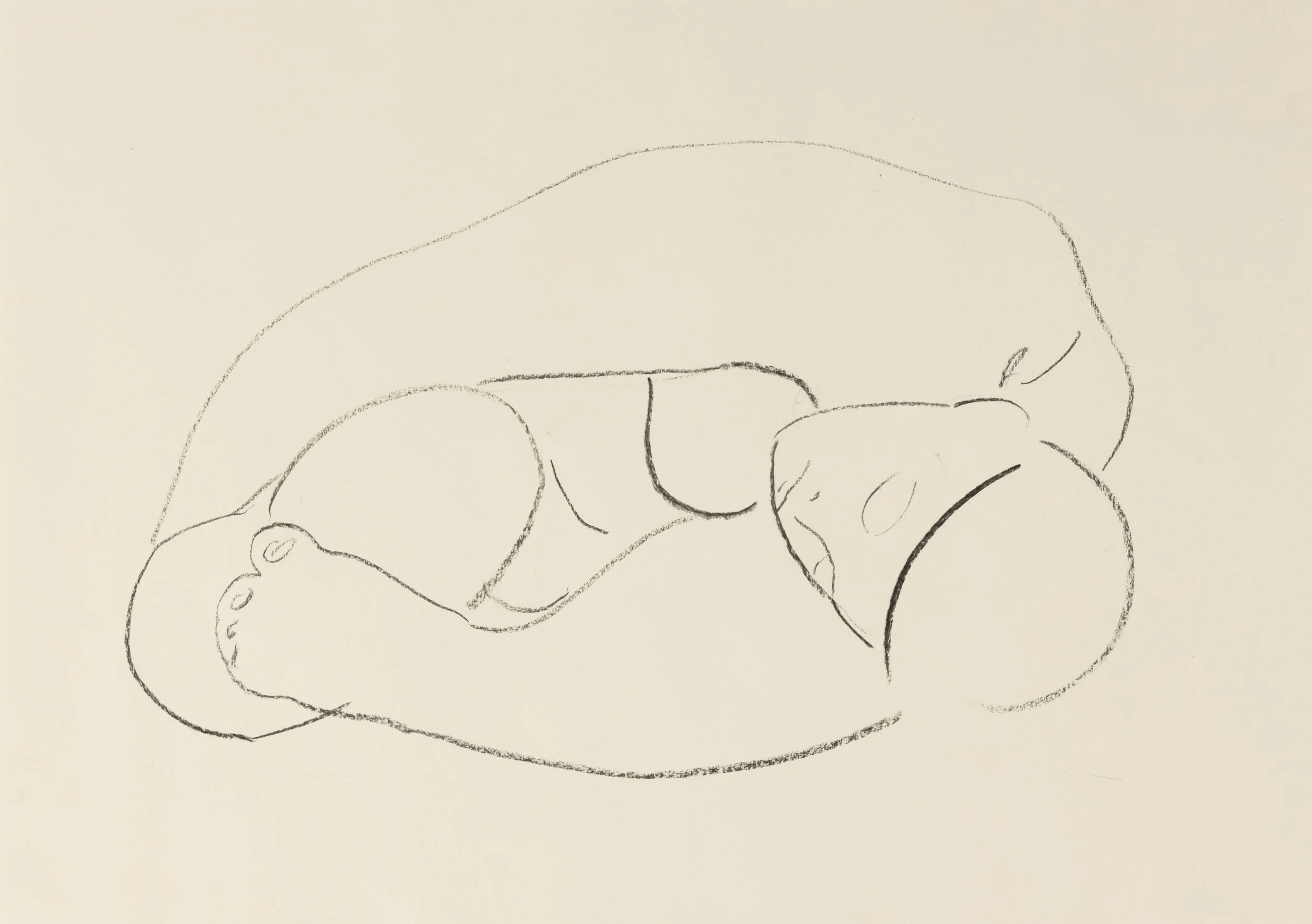   Nude study 20    
Charcoal on cartridge paper  
29.7 x 42 cm, 2026  
€895