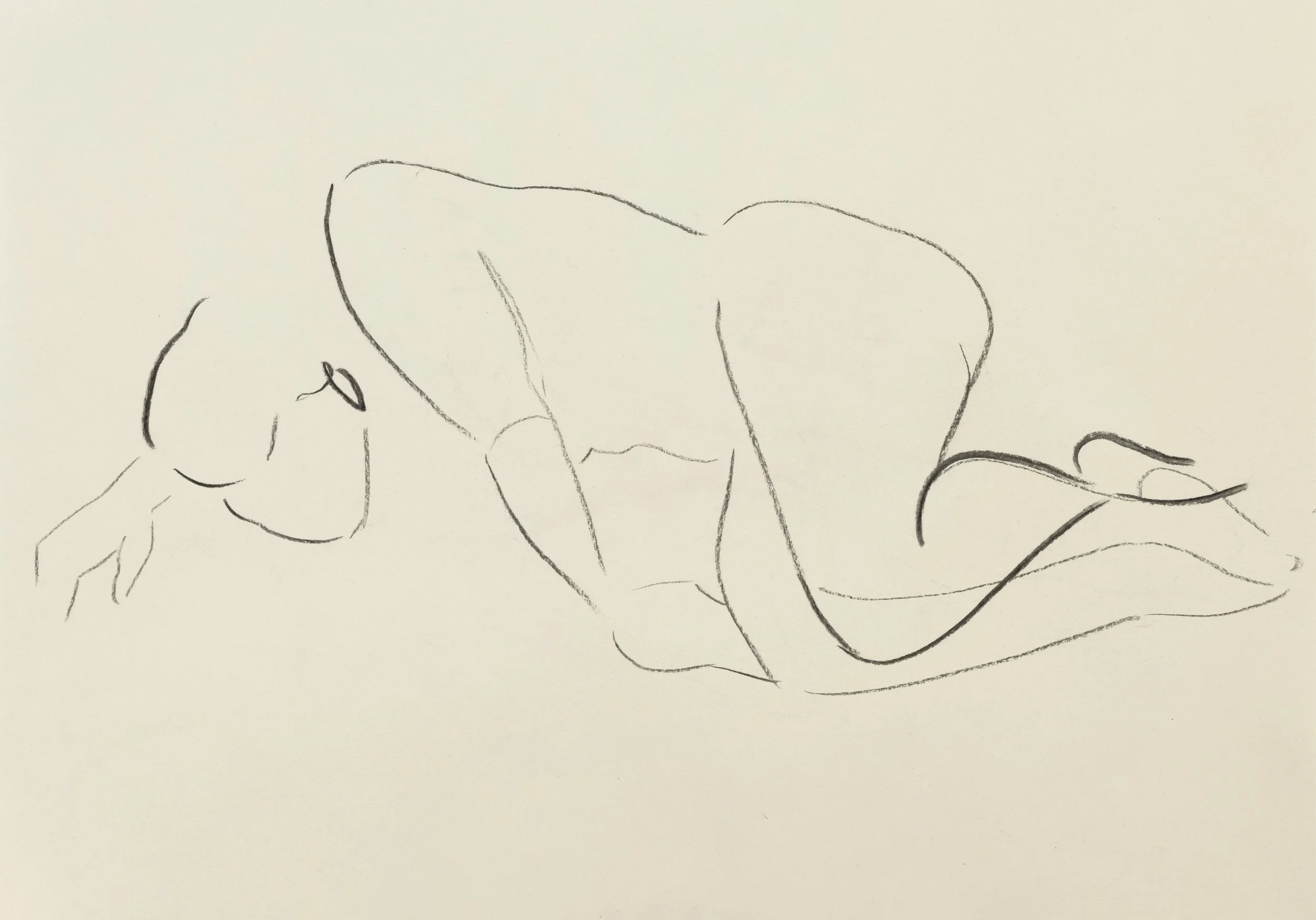   Nude study 13    
Charcoal on cartridge paper  
29.7 x 42 cm, 2026  
€895