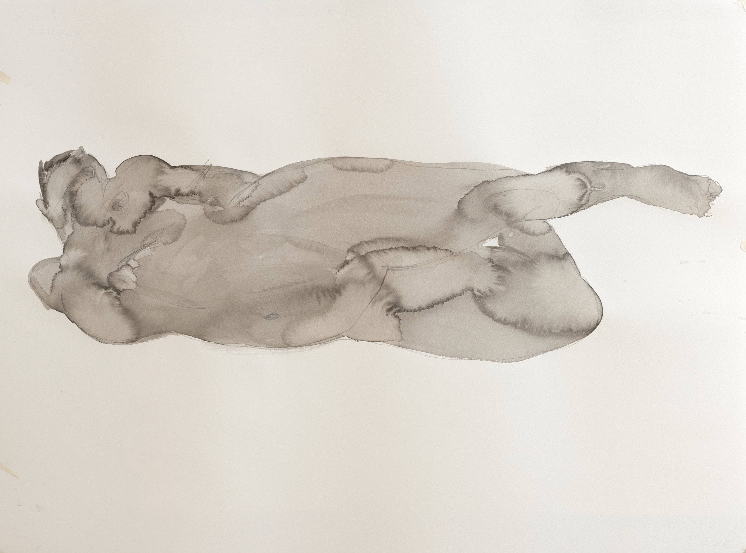   Nude study 3    
Indian ink and graphite on cartridge paper  
42x76 cm, 2026  
€1,365