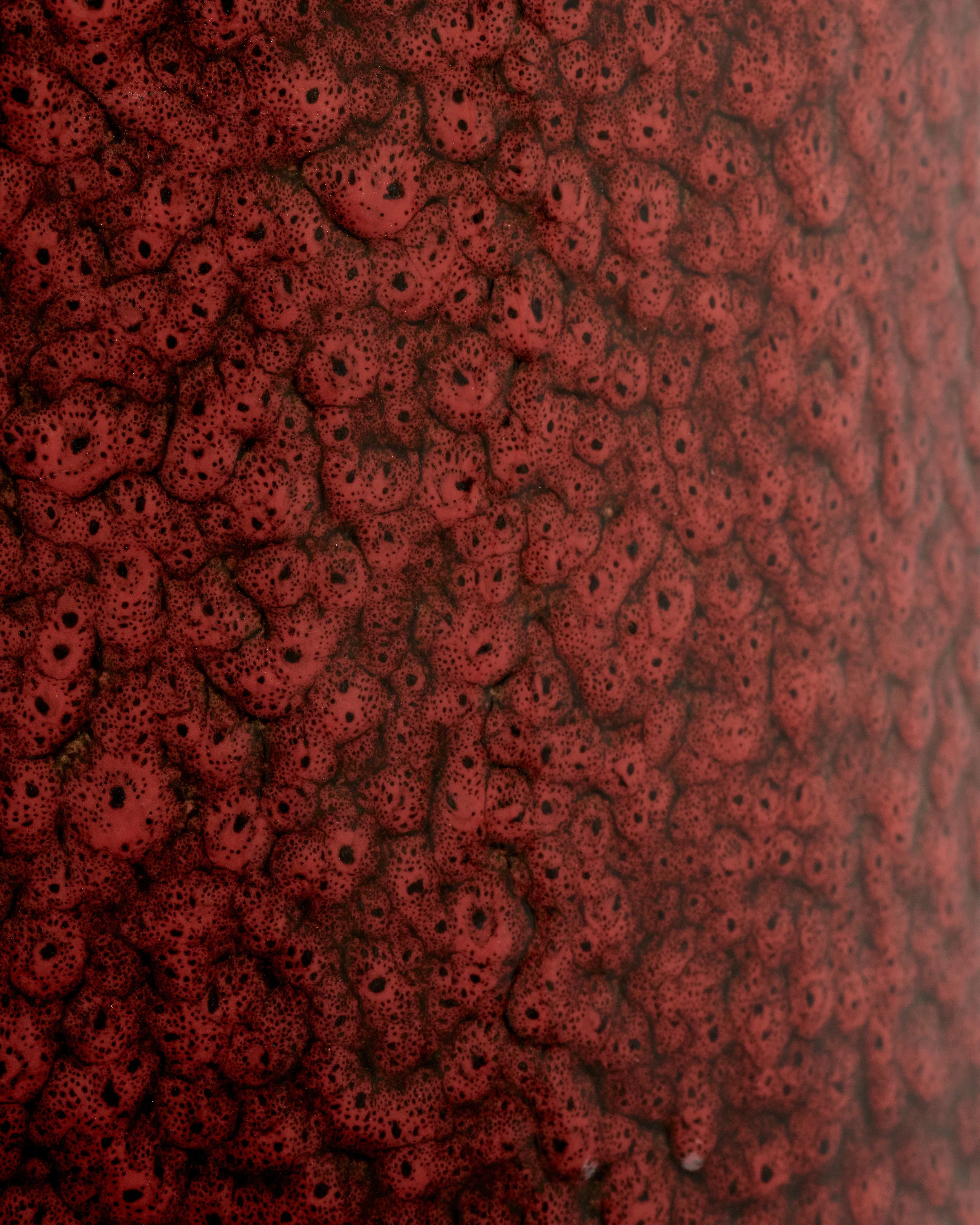 B4624001-317_07.webp