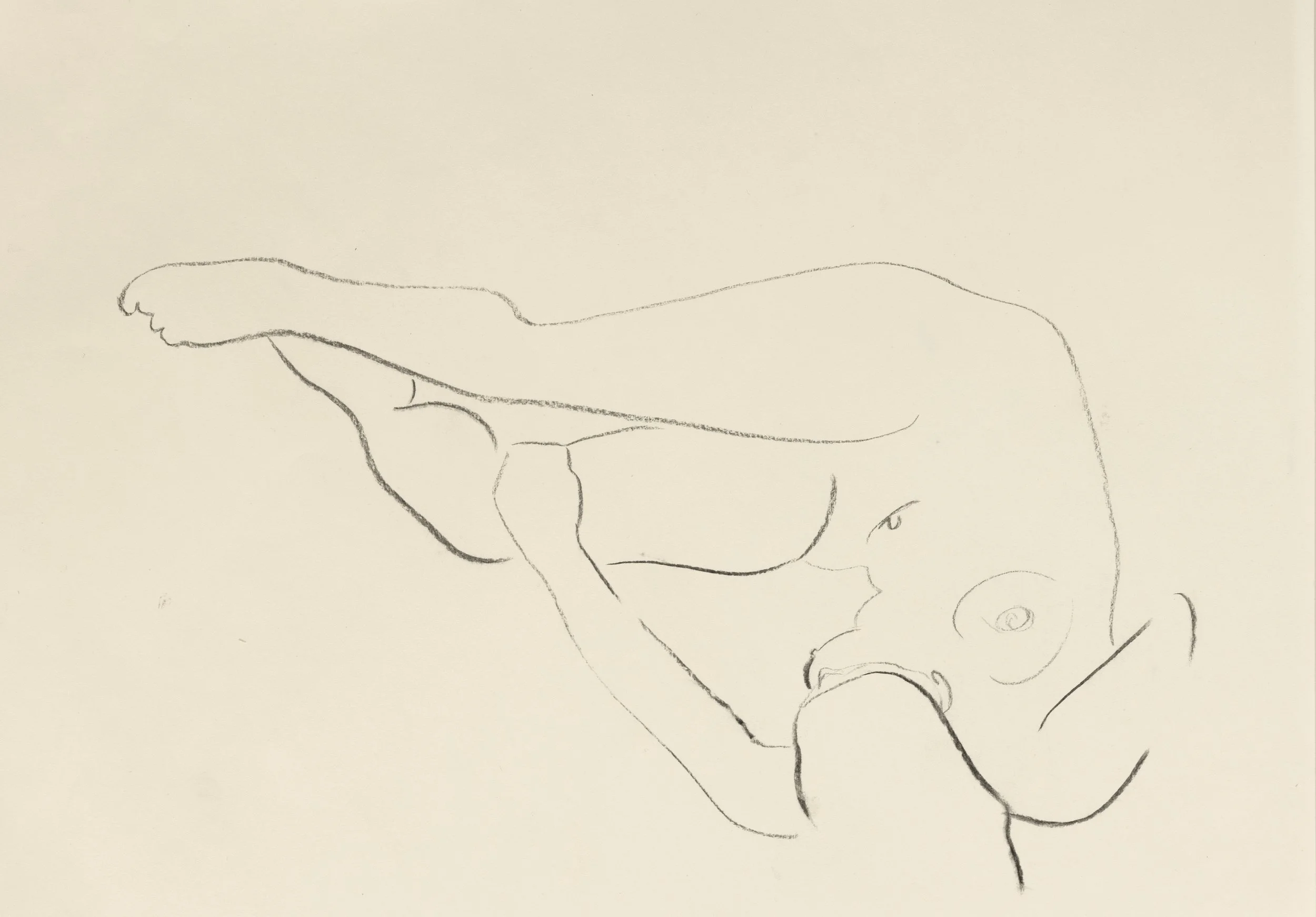   Nude study 17    
Charcoal on cartridge paper  
29.7 x 42 cm, 2026  
€895