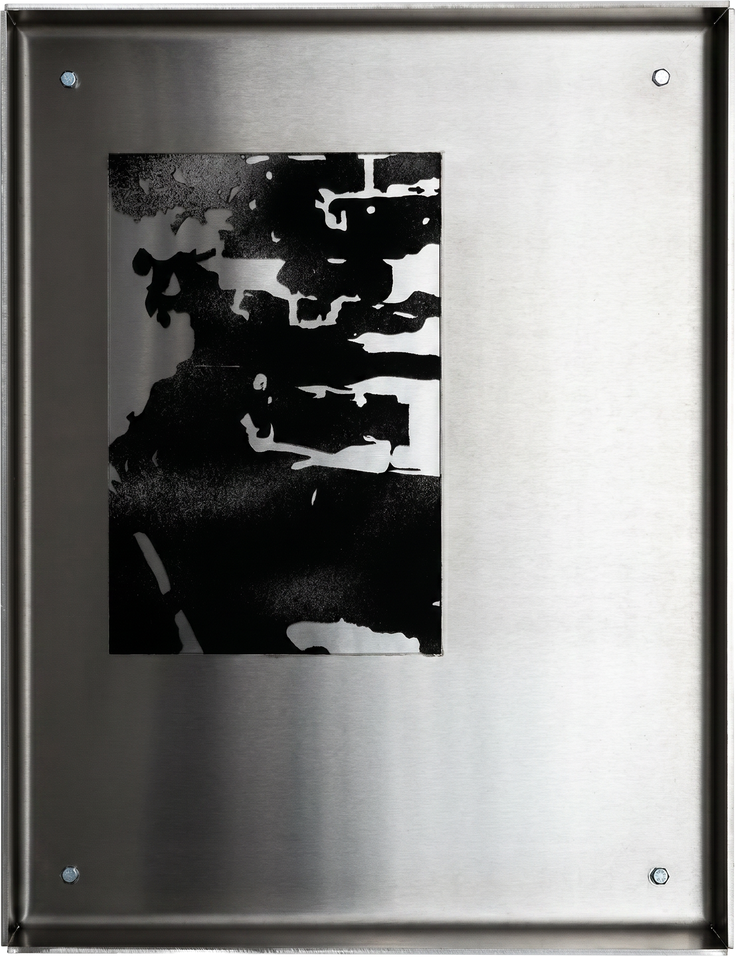   Demetris Agapiou    
Afterimage IV  
Stainless steel and spray paint on cartilage paper  
 42 x 33 x 5 cm