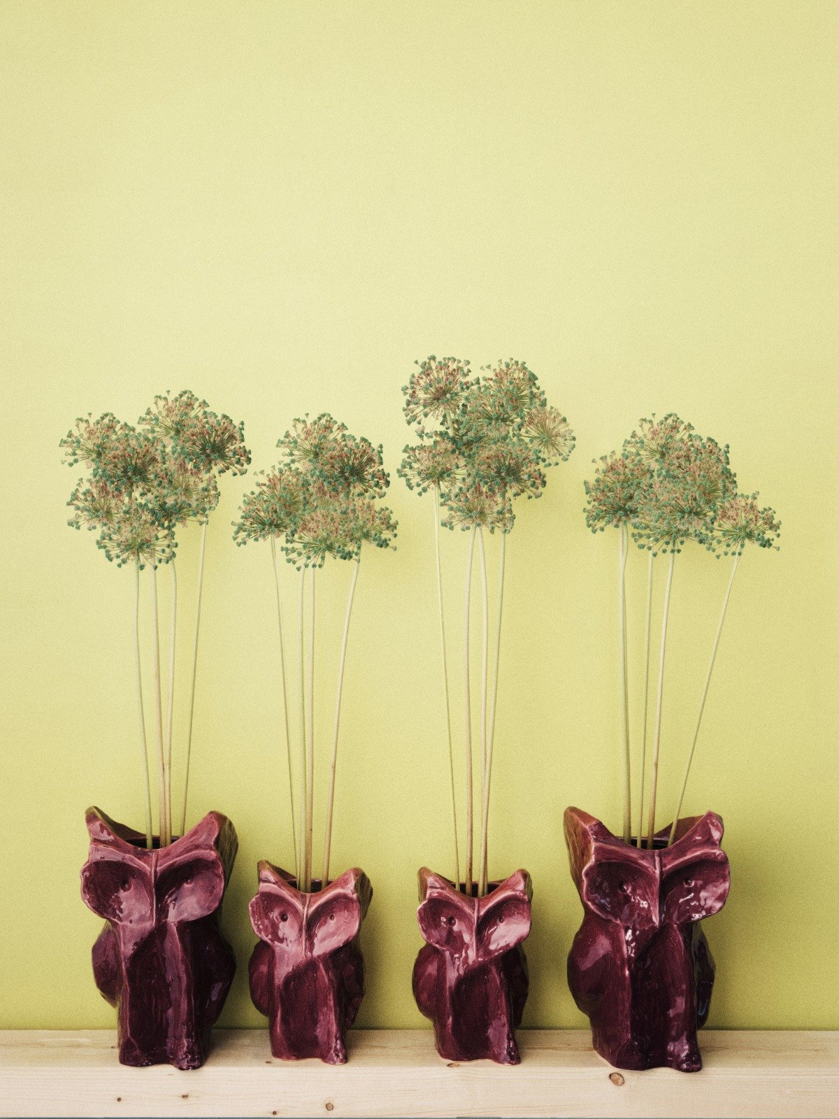 WhatsApp Image 2026-01-24 at 1.36.33 PM.jpeg