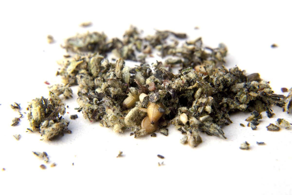 Za'atar - Épices Shira