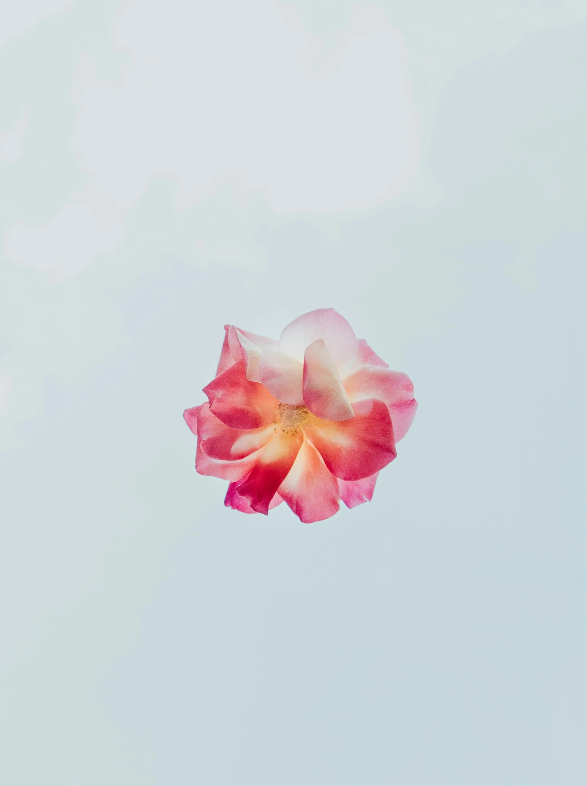 unsplash-image-w1JE5duY62M.jpg