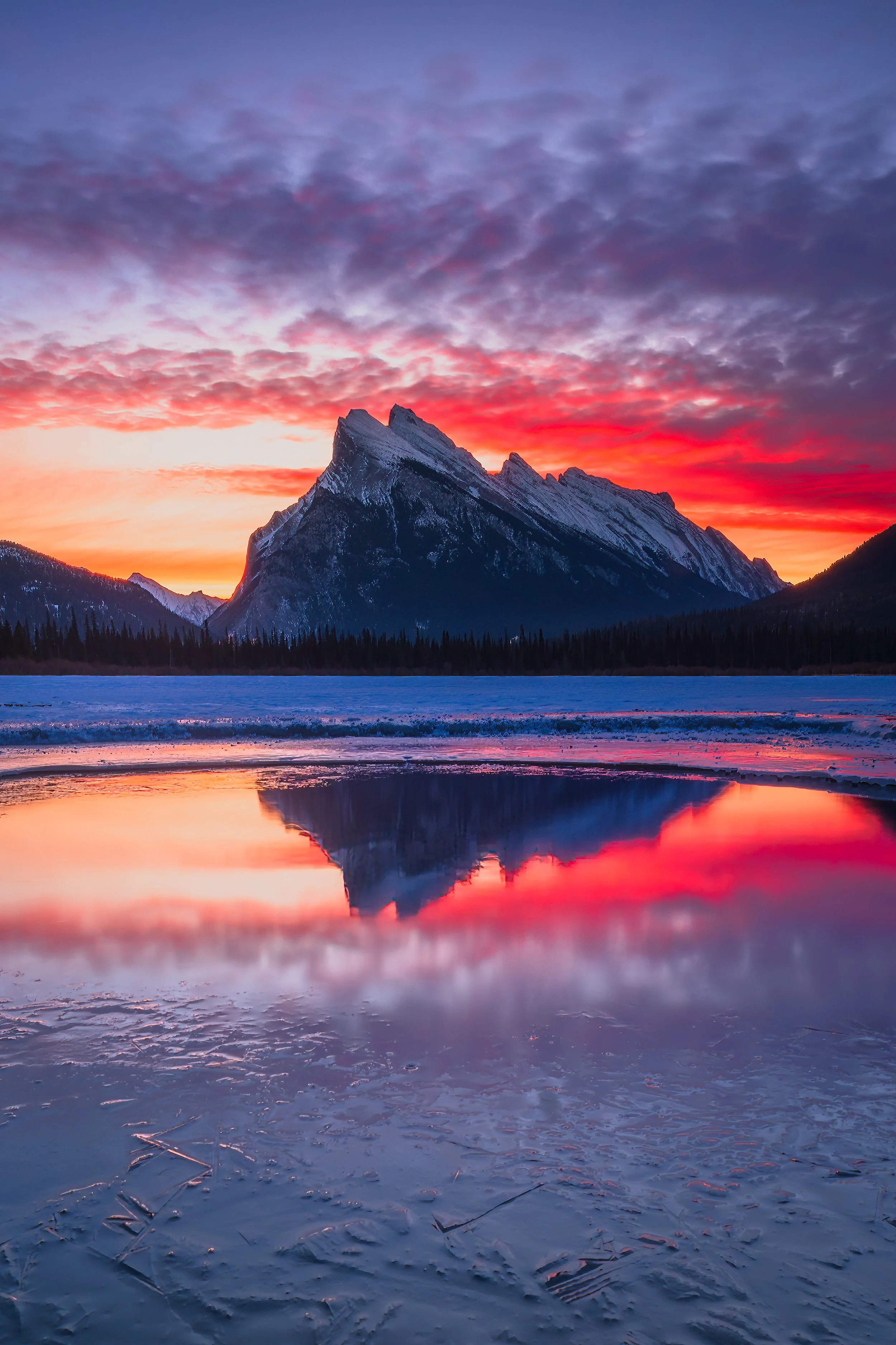 "Vertical Peaks VII: Rundle", Vermilion Lakes, Banff National Park, Alberta, Canada (20 January 2025)