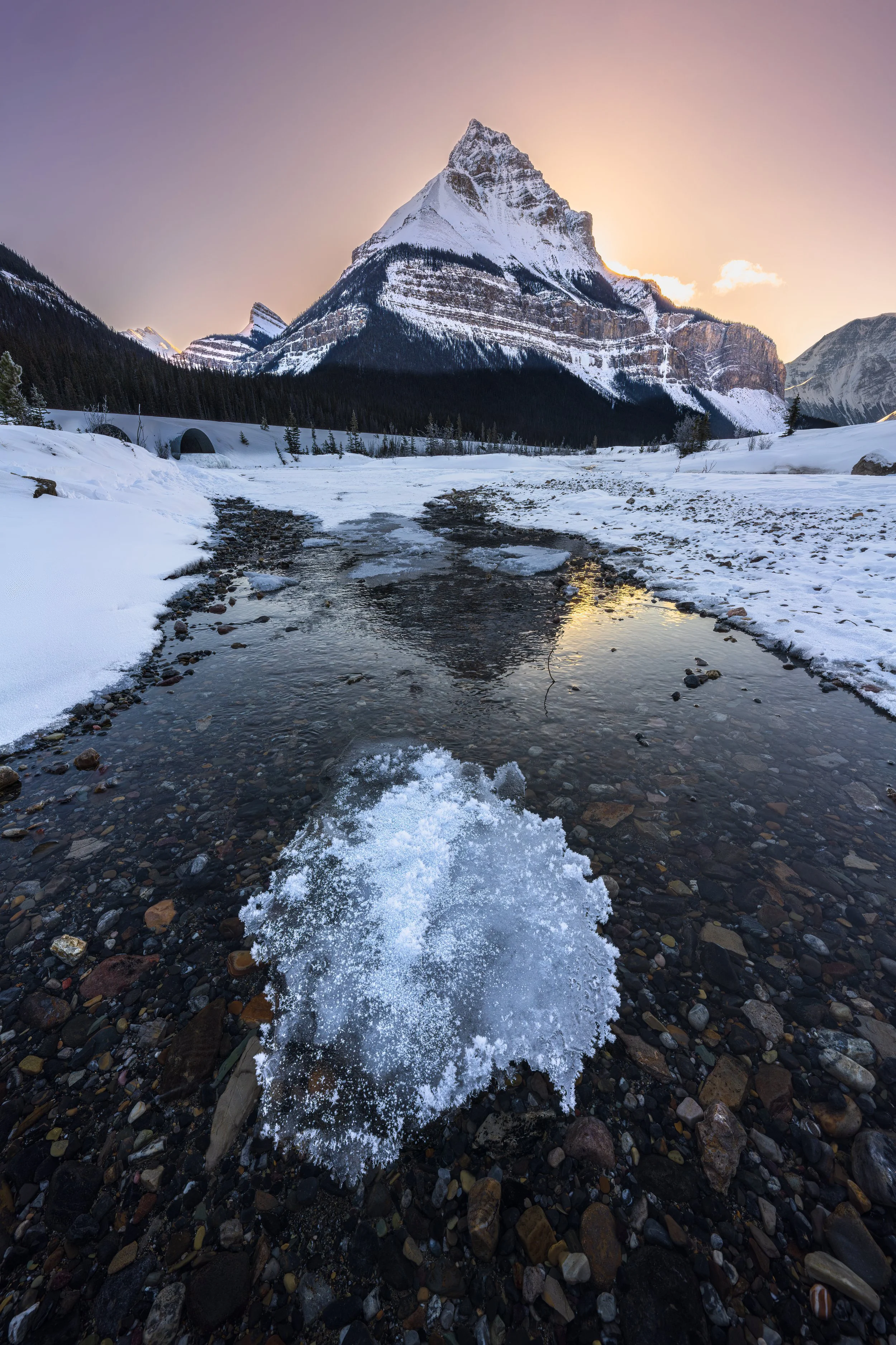 "Vertical Peaks III: Tangle" Banff National Park, Alberta, Canada (22 January 2025)