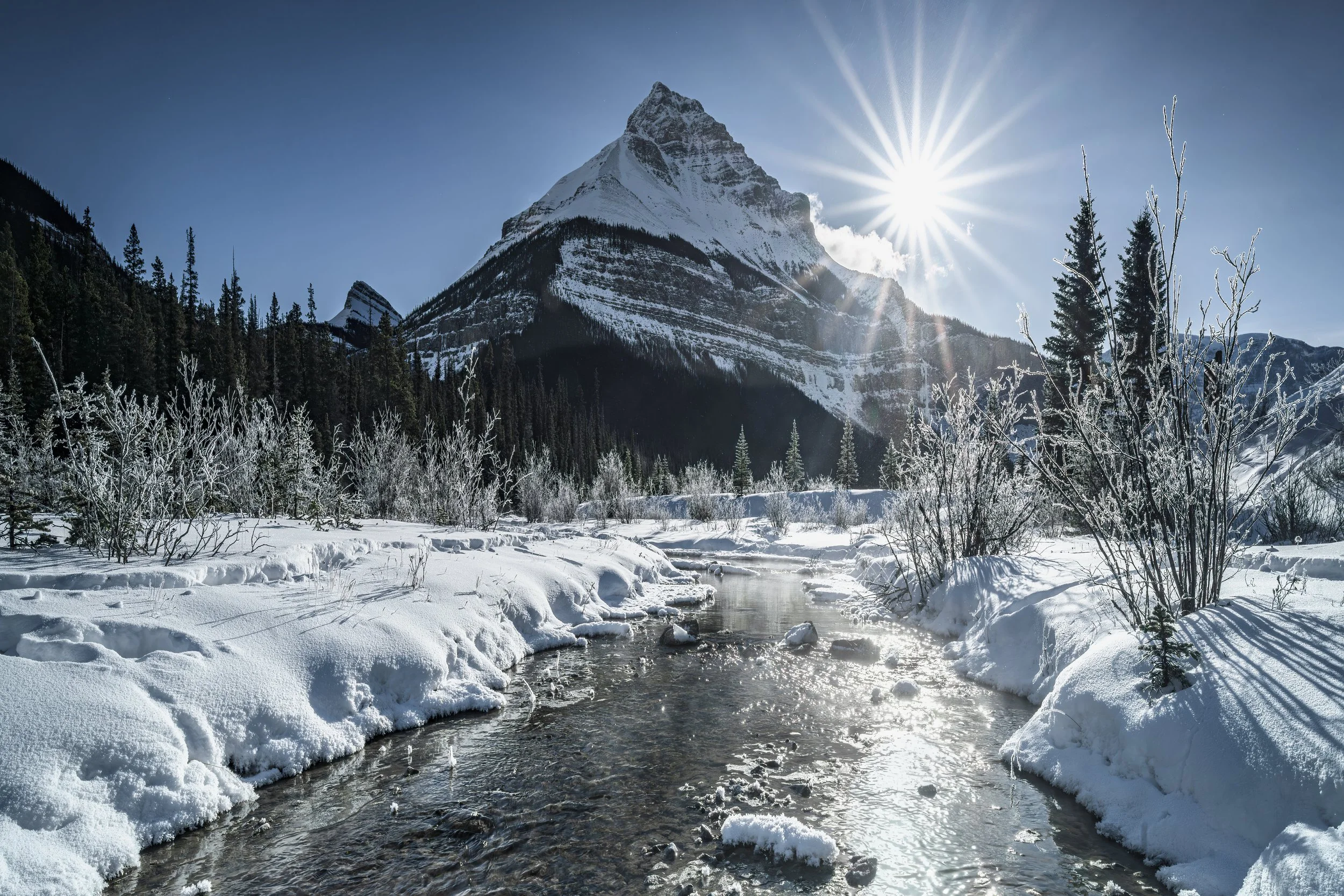 "Diamond Dust" Jasper National Park, Alberta, Canada (22 January 2025)