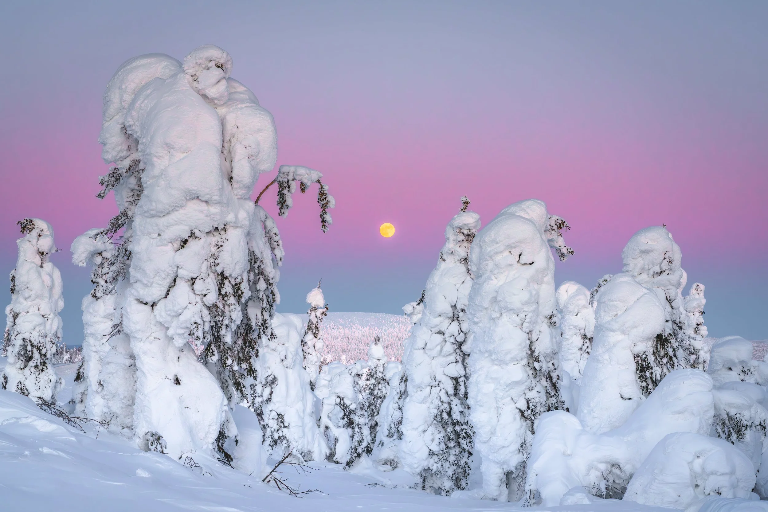 "The Worm Moon", Yukon River Bridge, Alaska, USA (3 March 2026)