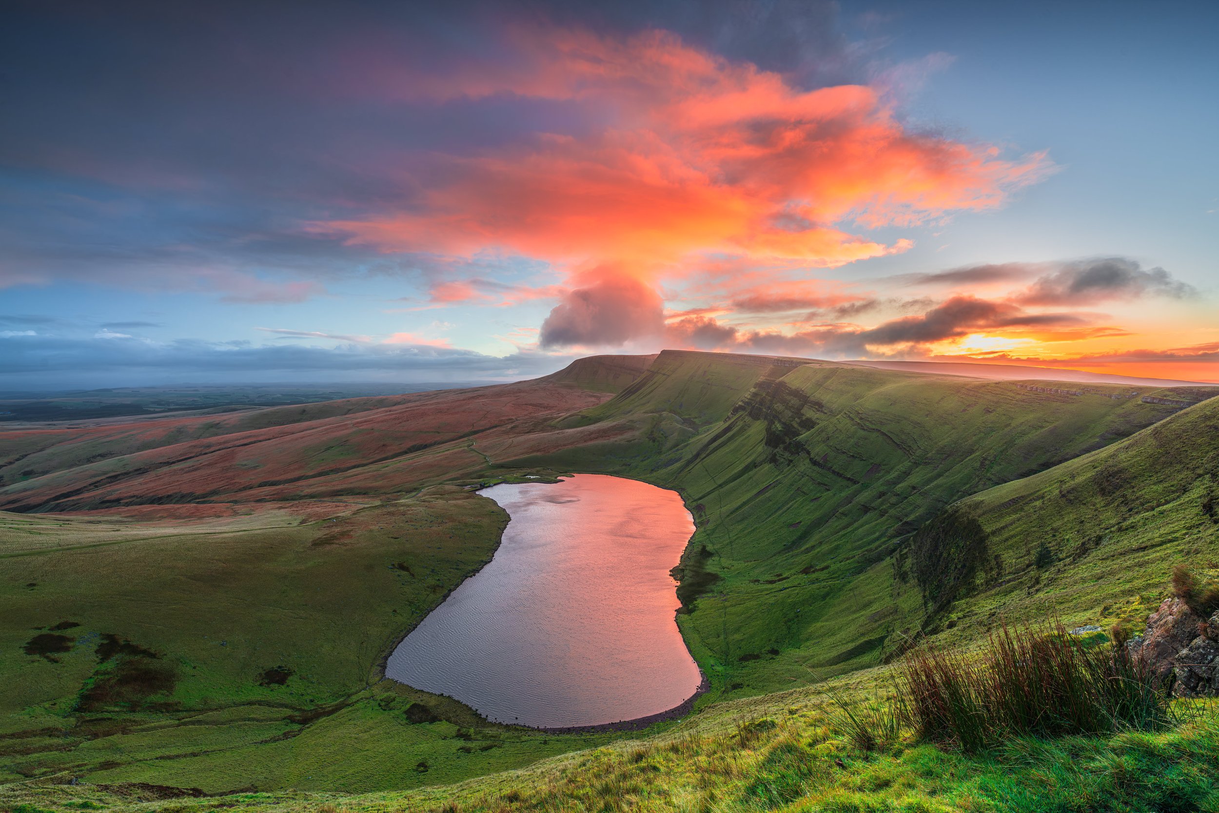 "Bounce", Bannau Brycheiniog National Park, Wales (24 October 2025)