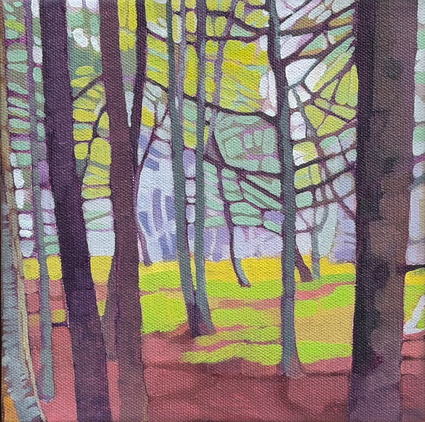 UNDERSTORY - SHACKFORD WOODS  | Oil on Canvas  | 8" x 8" | $400