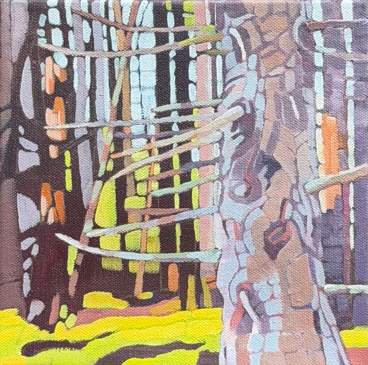 UNDERSTORY - SHACKFORD WOODS 2 | Oil on Canvas  | 8" x 8" | $400