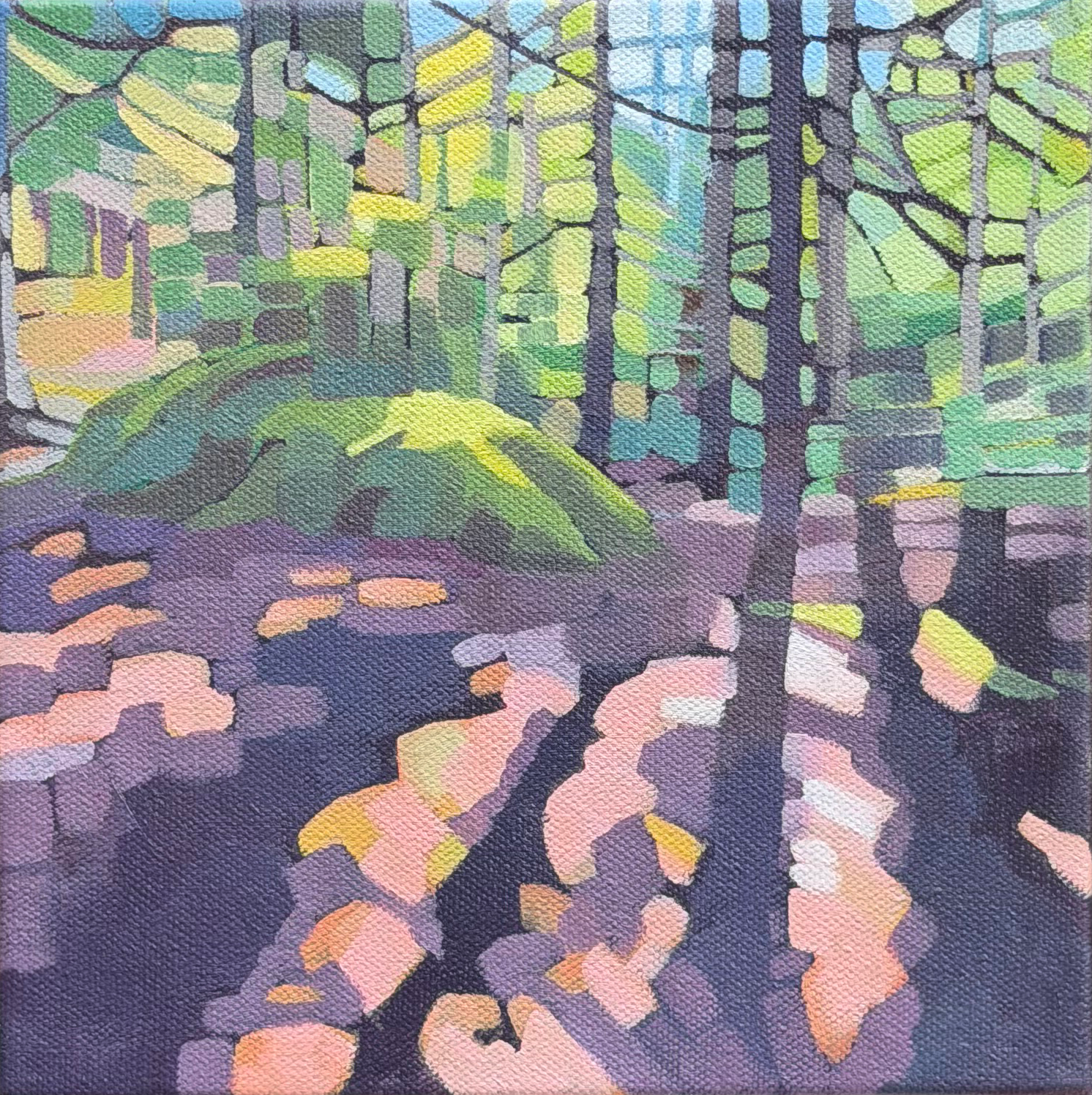 UNDERSTORY - CATHEDRAL WOODS  | Oil on Canvas  | 8" x 8" | $400