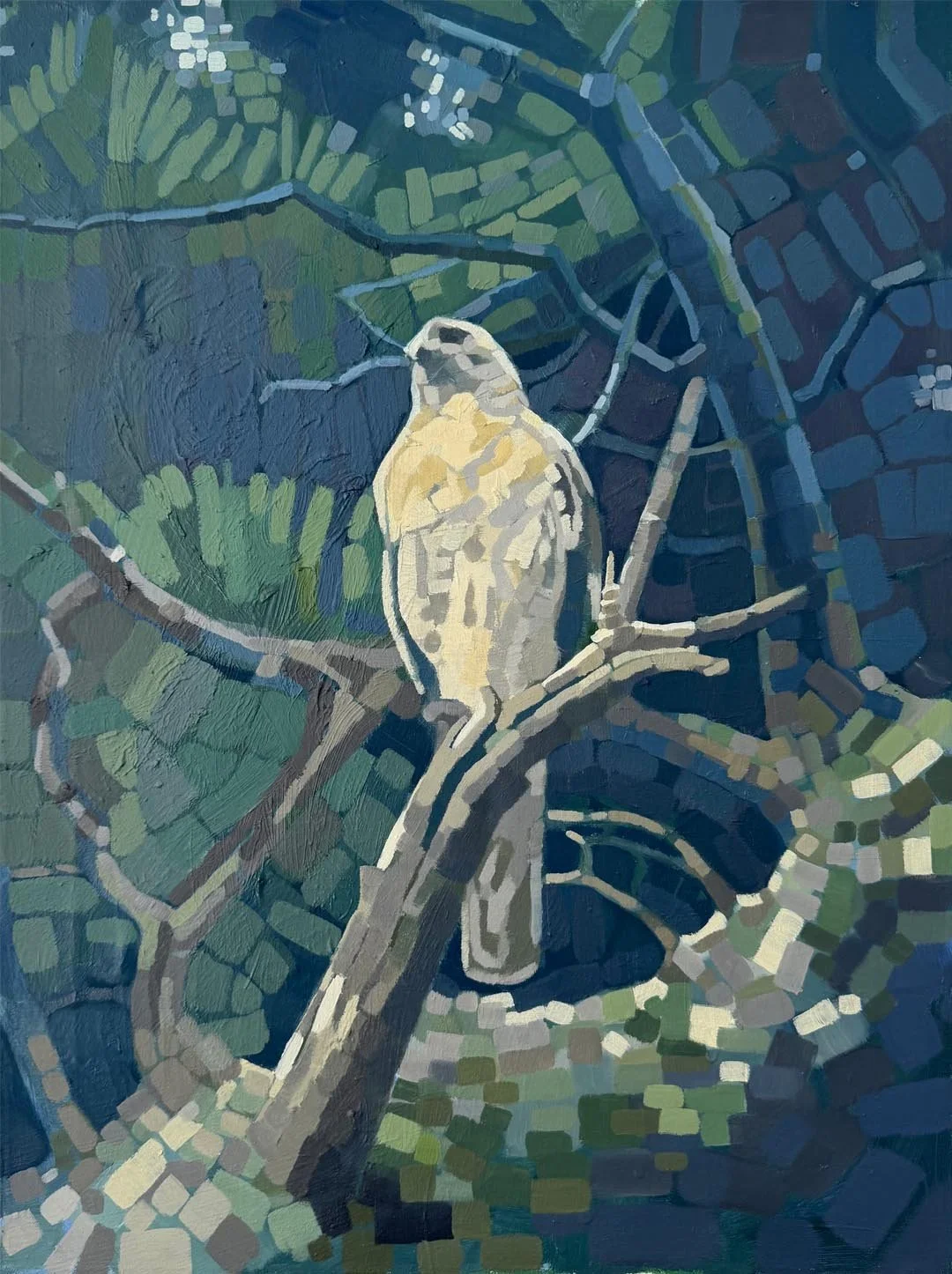 HAWK  | Oil on Canvas  | 18" x 24" | $500