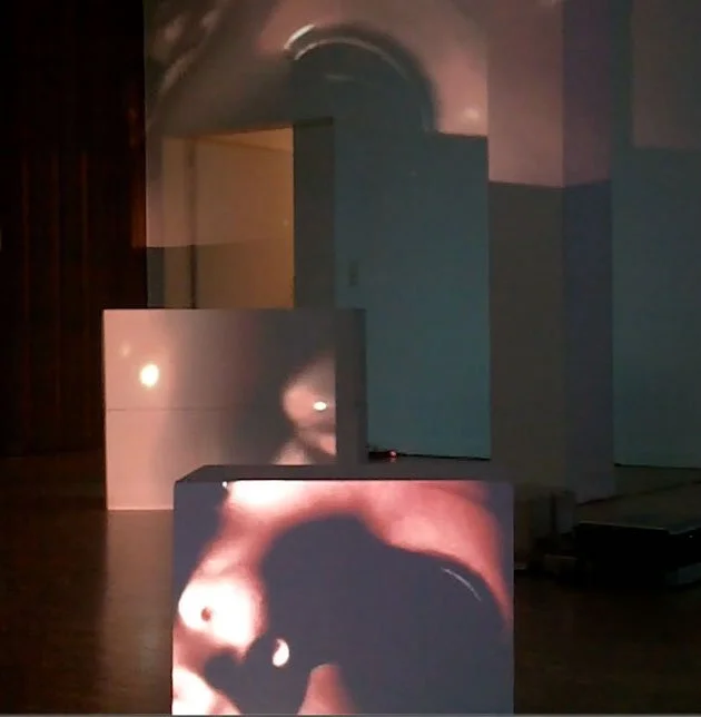 A Fly in amber_Raumausschnitt.JPG