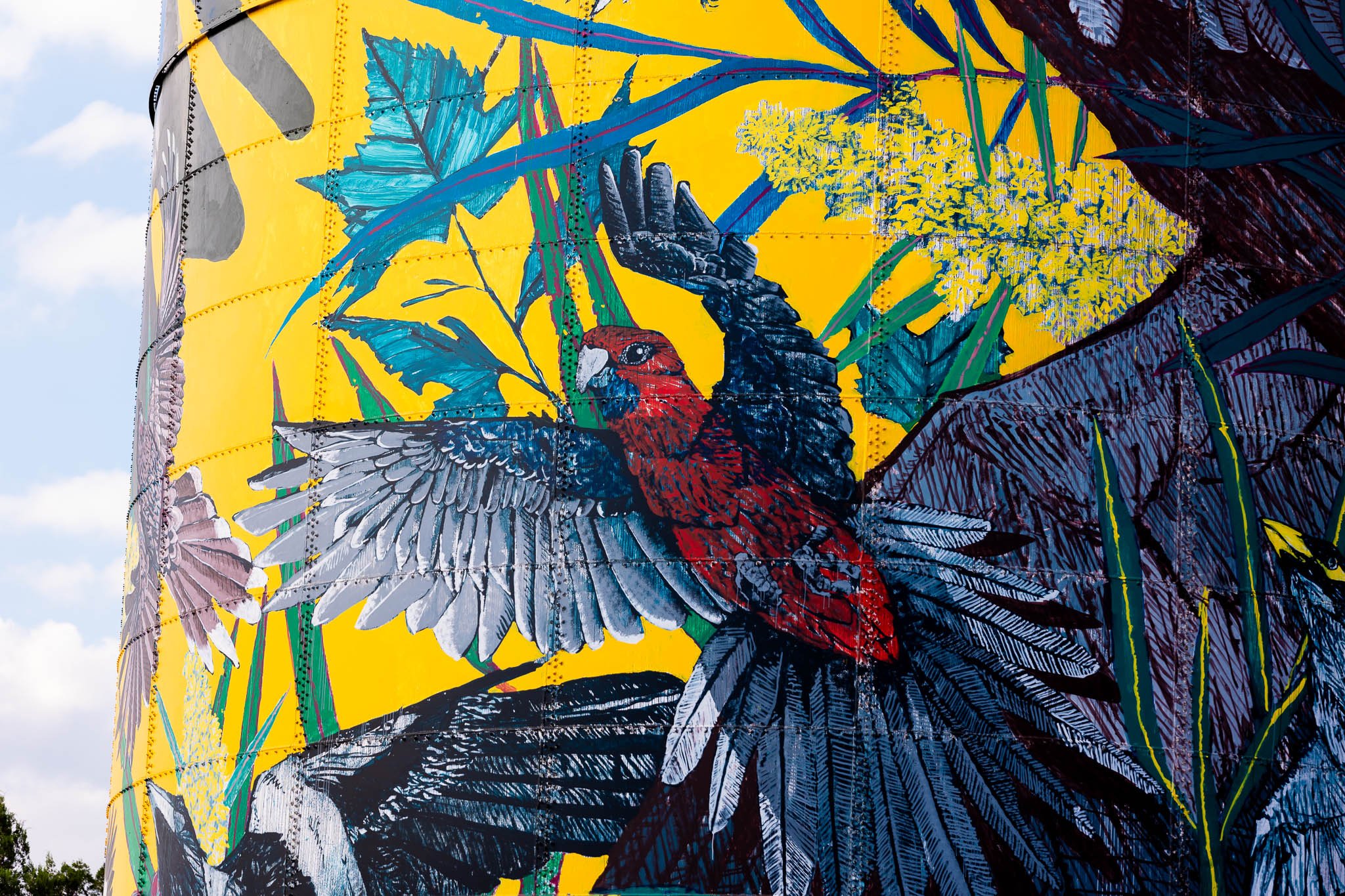 Blue Crane and flock of birds MOAMA