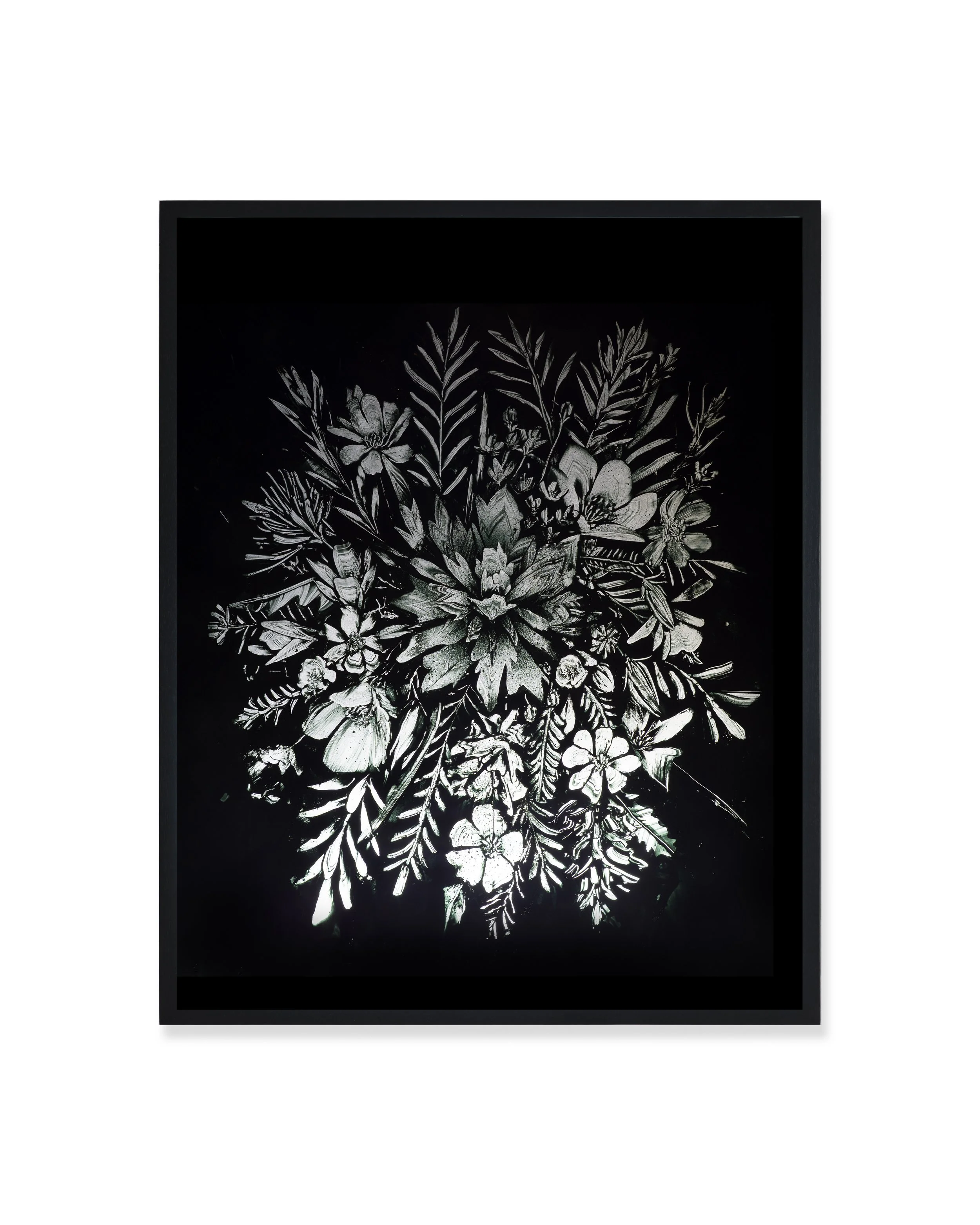 Hiroyasu Tsuri - Wild Flower of Alberta-1.jpg