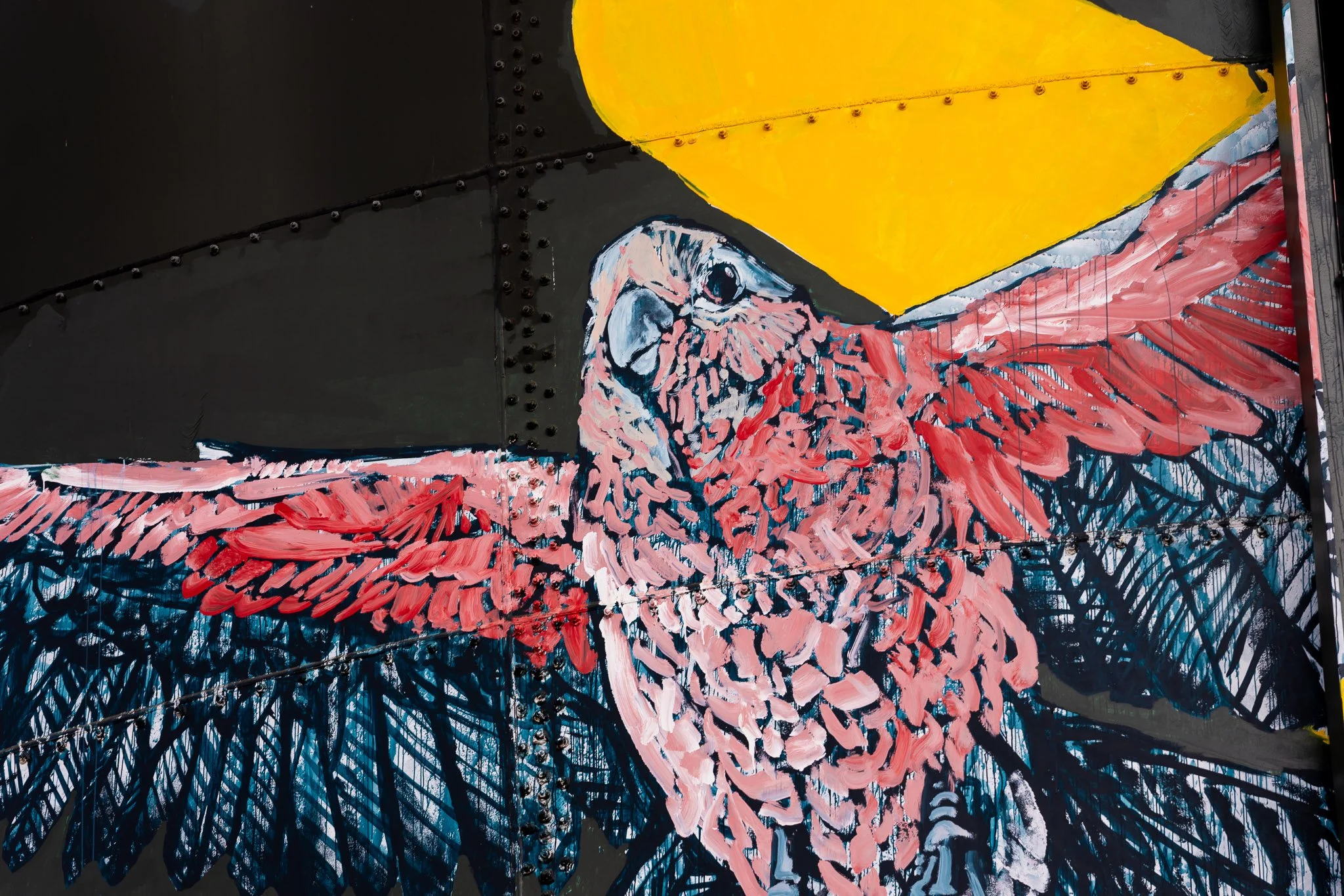 Blue Crane and flock of birds MOAMA