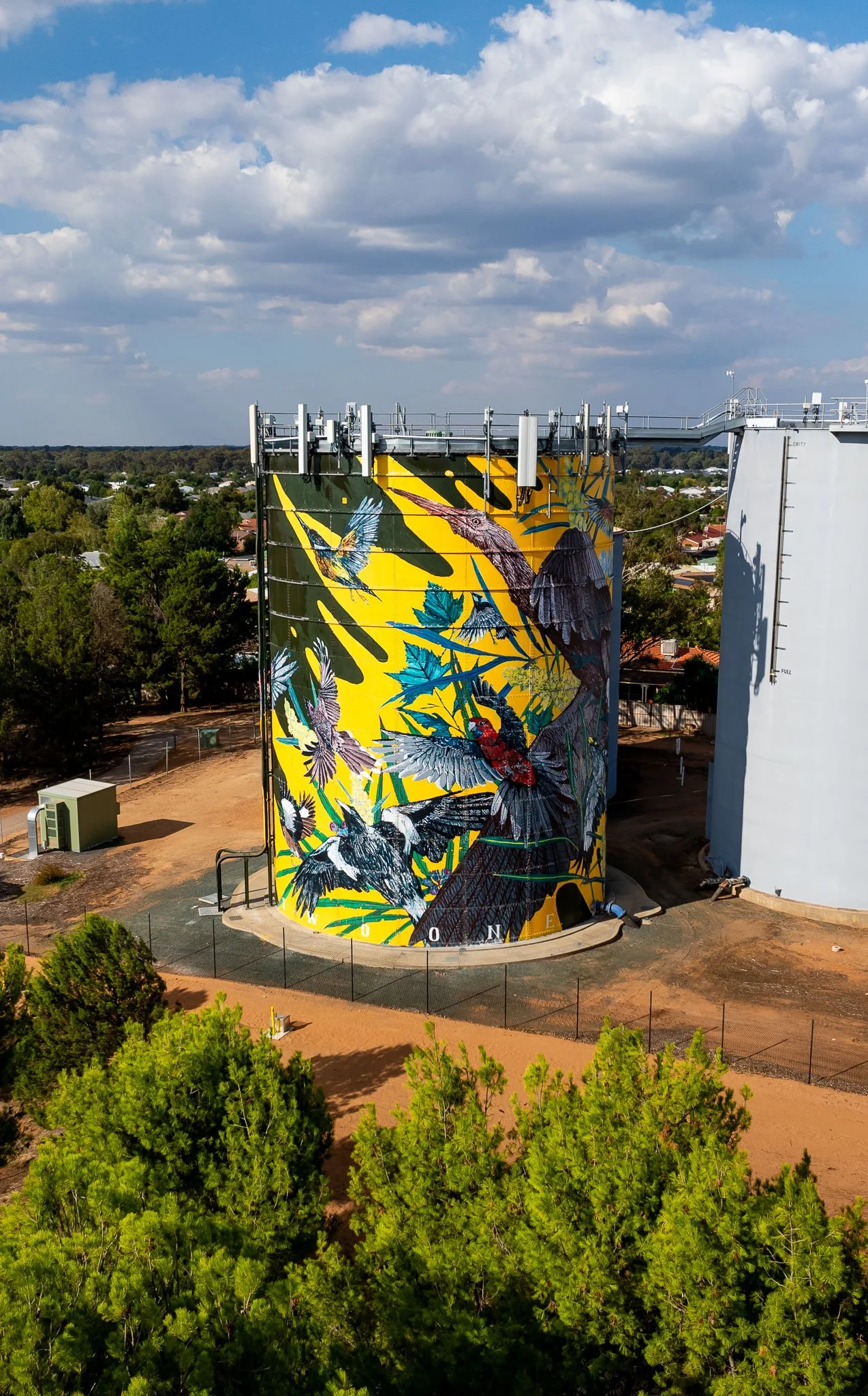 Blue Crane and flock of birds MOAMA