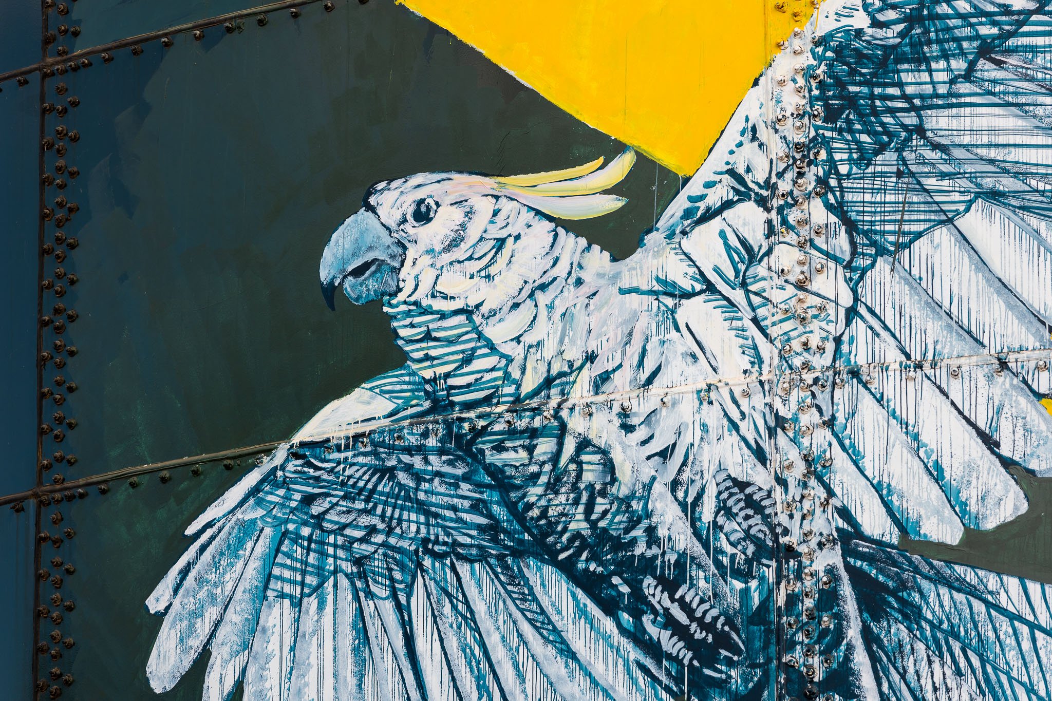 Blue Crane and flock of birds MOAMA