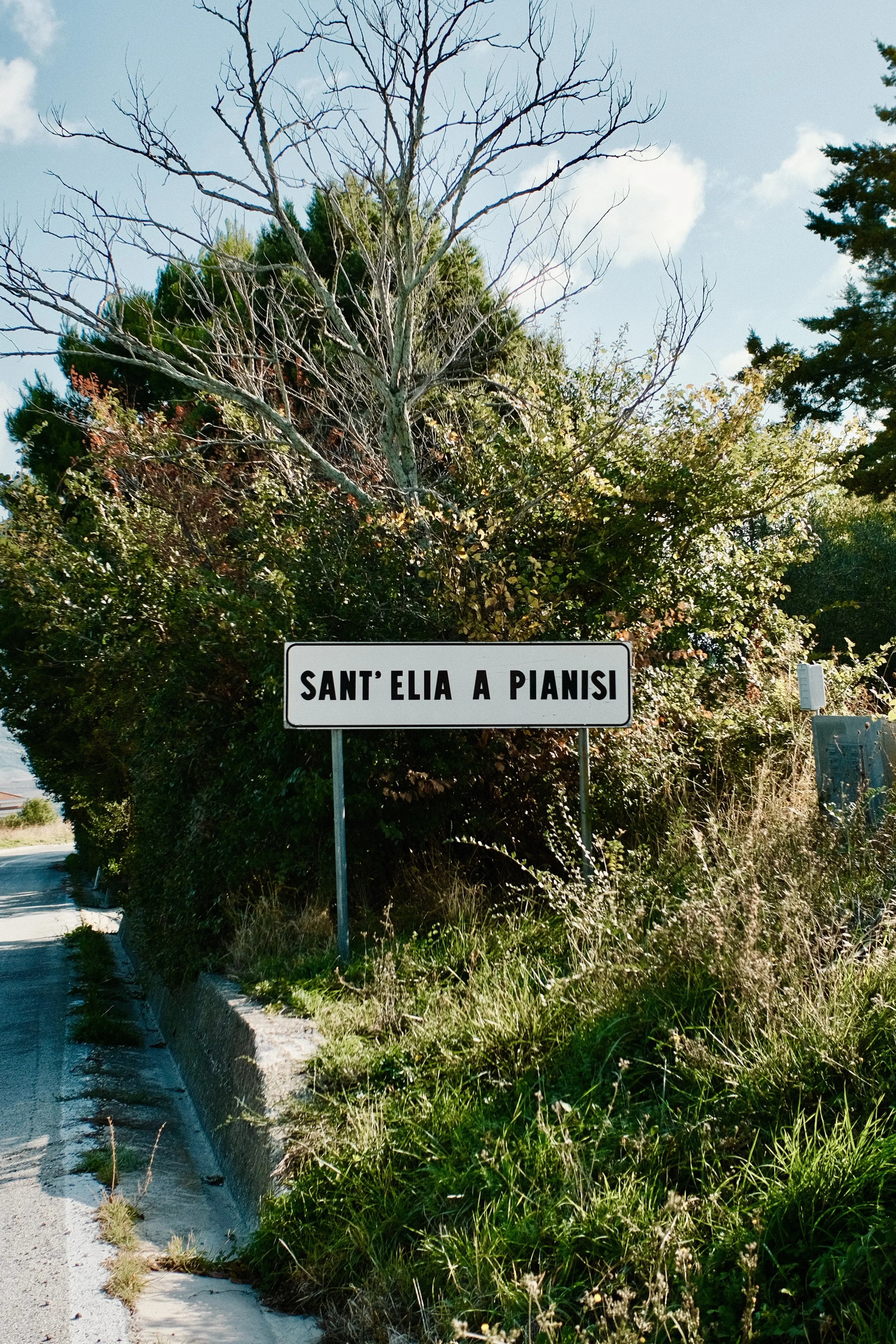 Photo 2025-10-02, 9 16 05.jpg