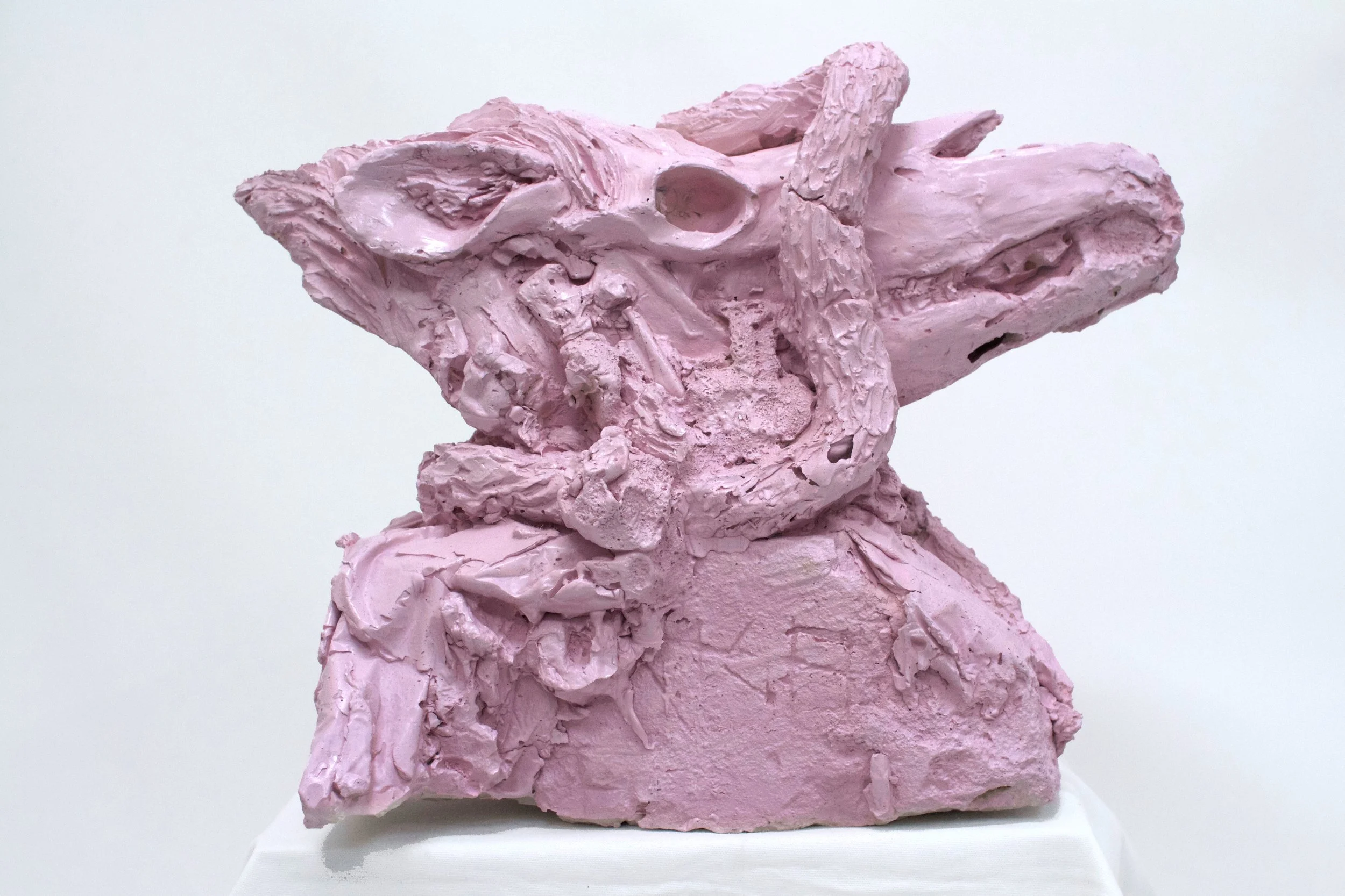 horsehead5.jpg