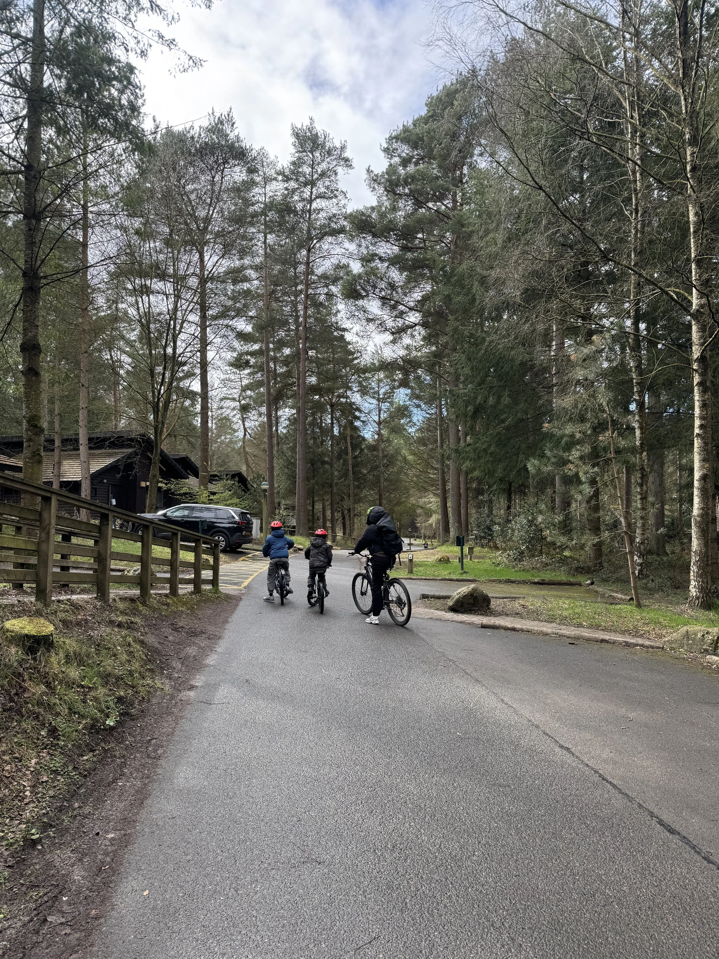 Dopamine Nation, Overstimulation, and Why Yoga Still Matters: Book Review