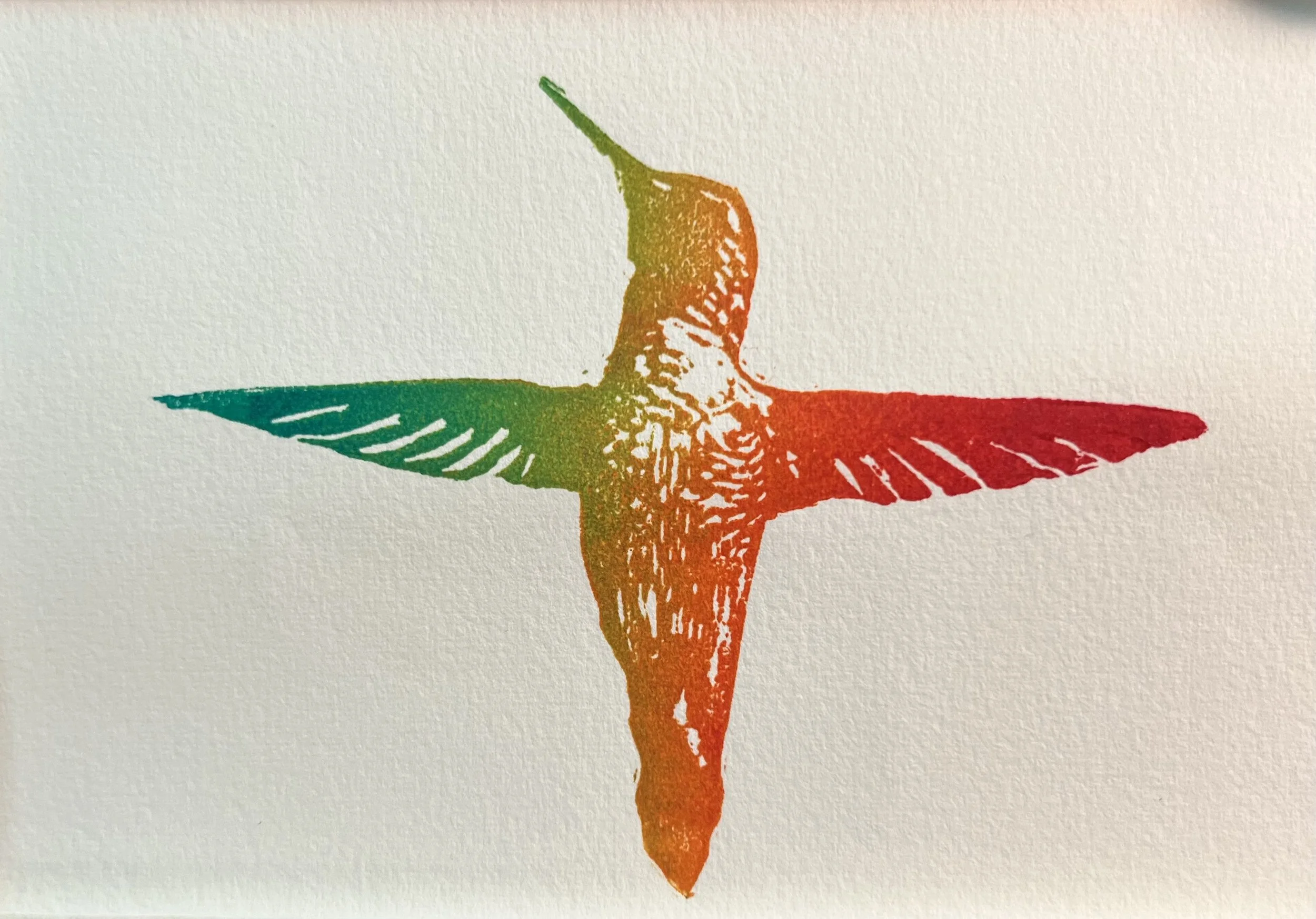 HummingbirdRainbow.jpg