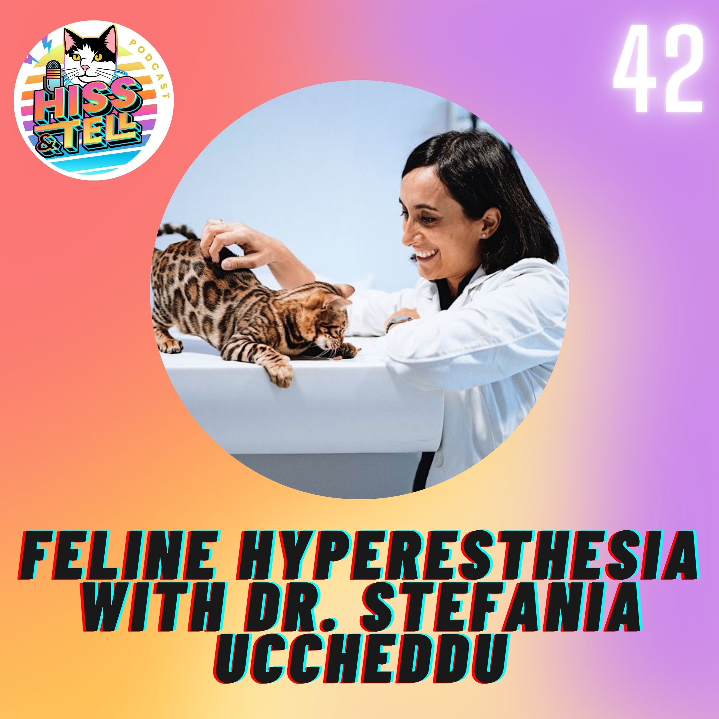 Feline Hyperesthesia Causes, Symptoms &amp; Treatment with Dr. Stefania Uccheddu