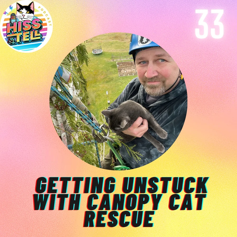 Getting Unstuck with Canopy Cat Rescue