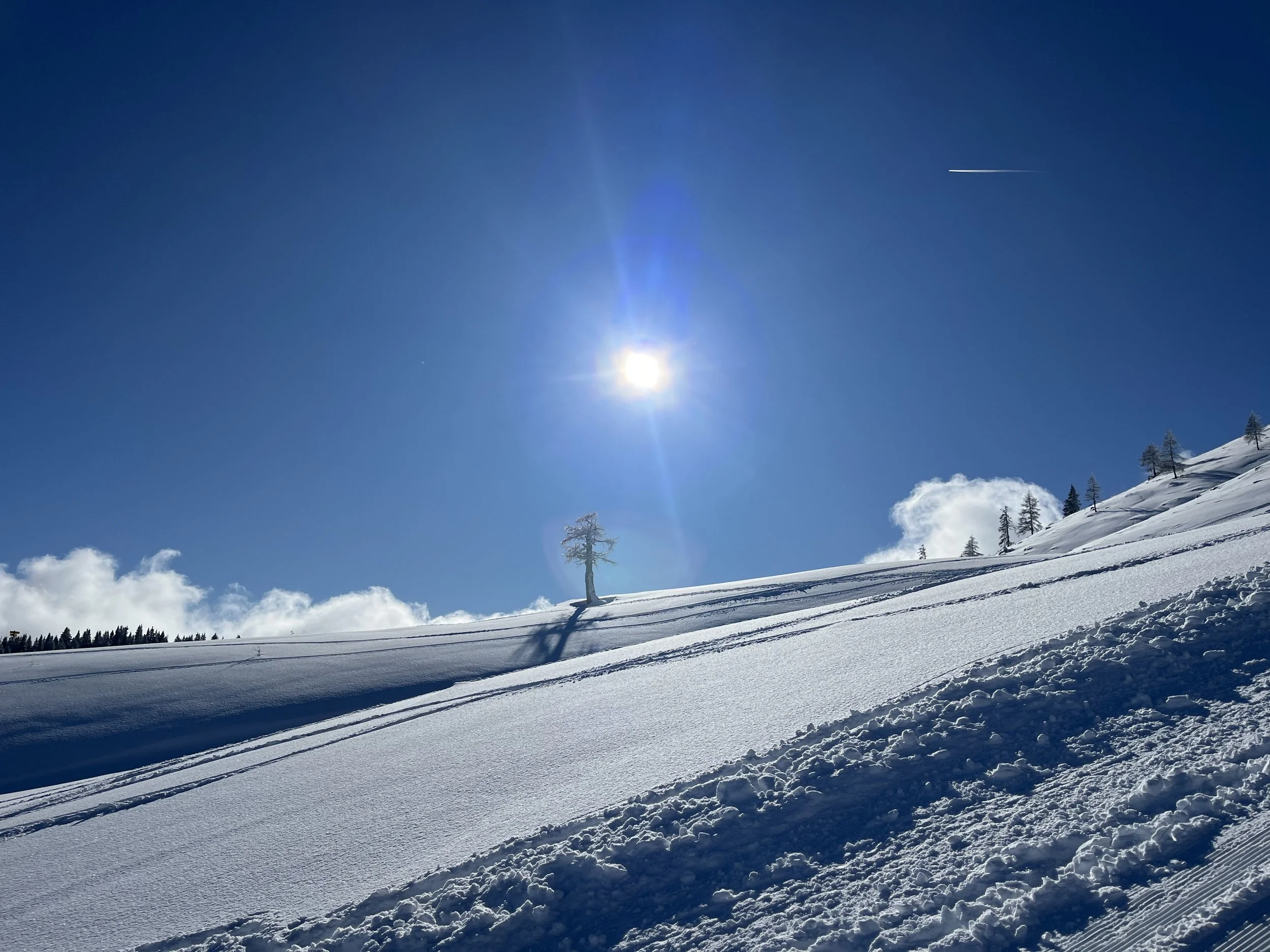 Poem: We are all Gods