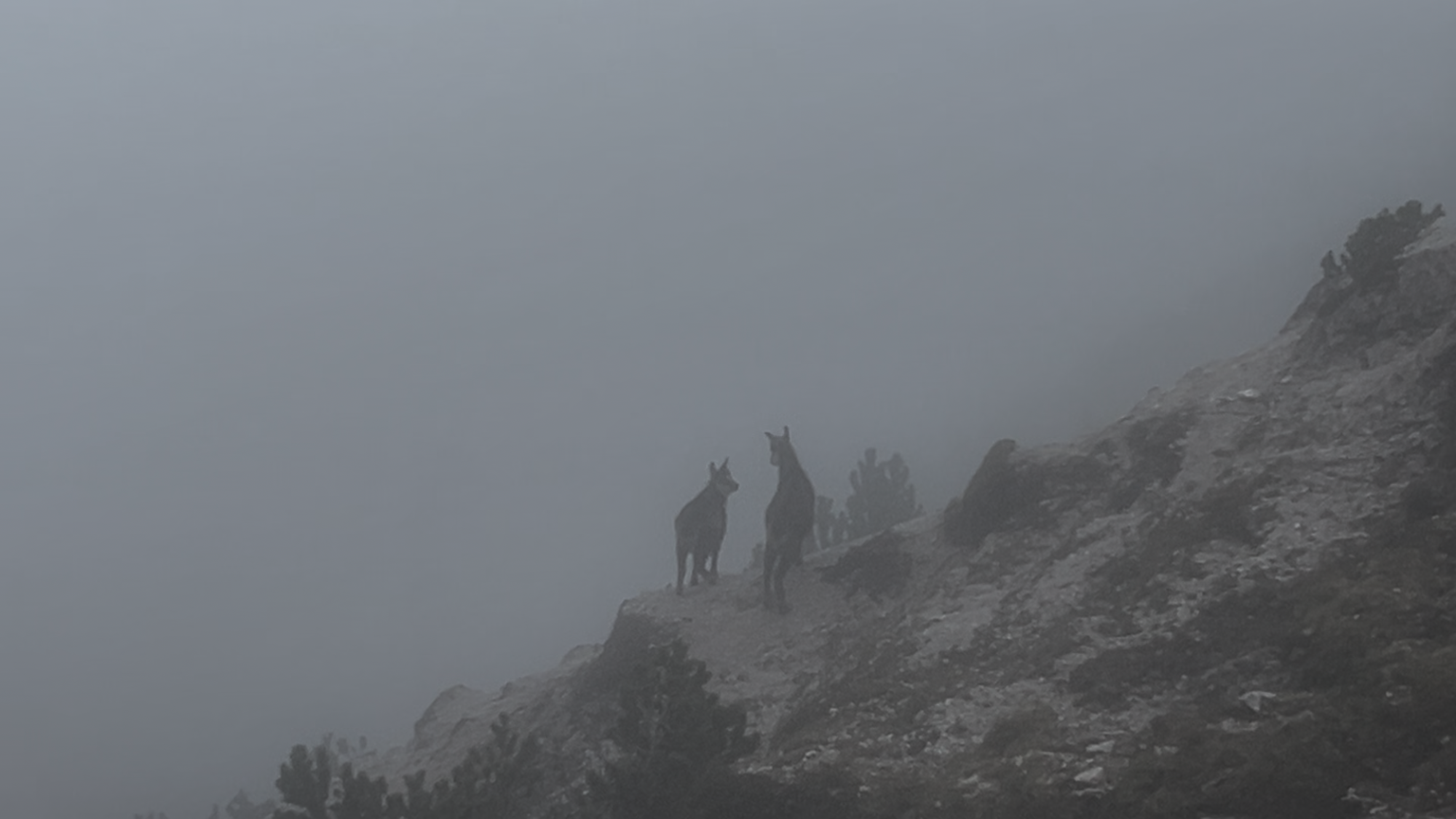 Poem: Never Journeying Alone