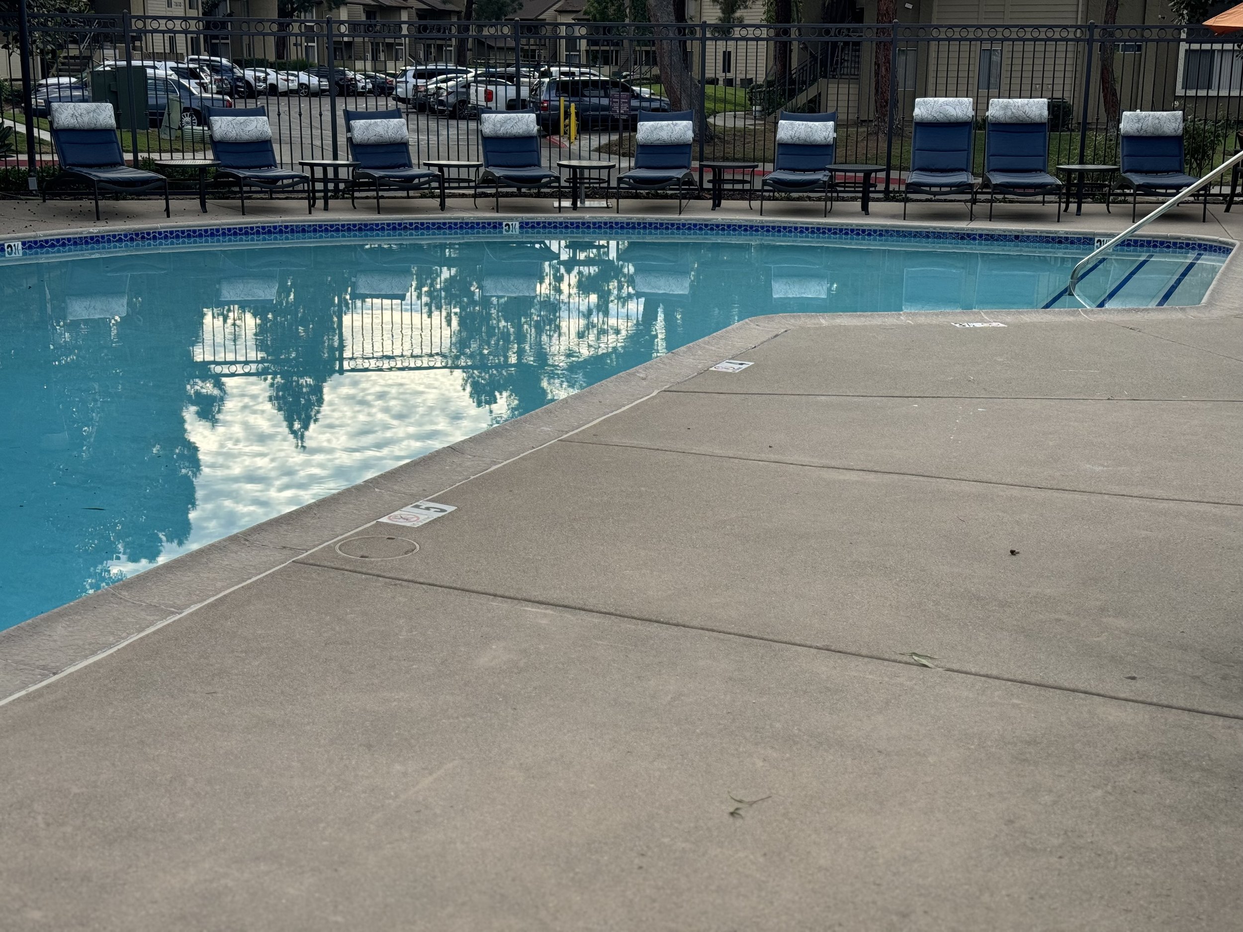 IMG_8022.jpeg