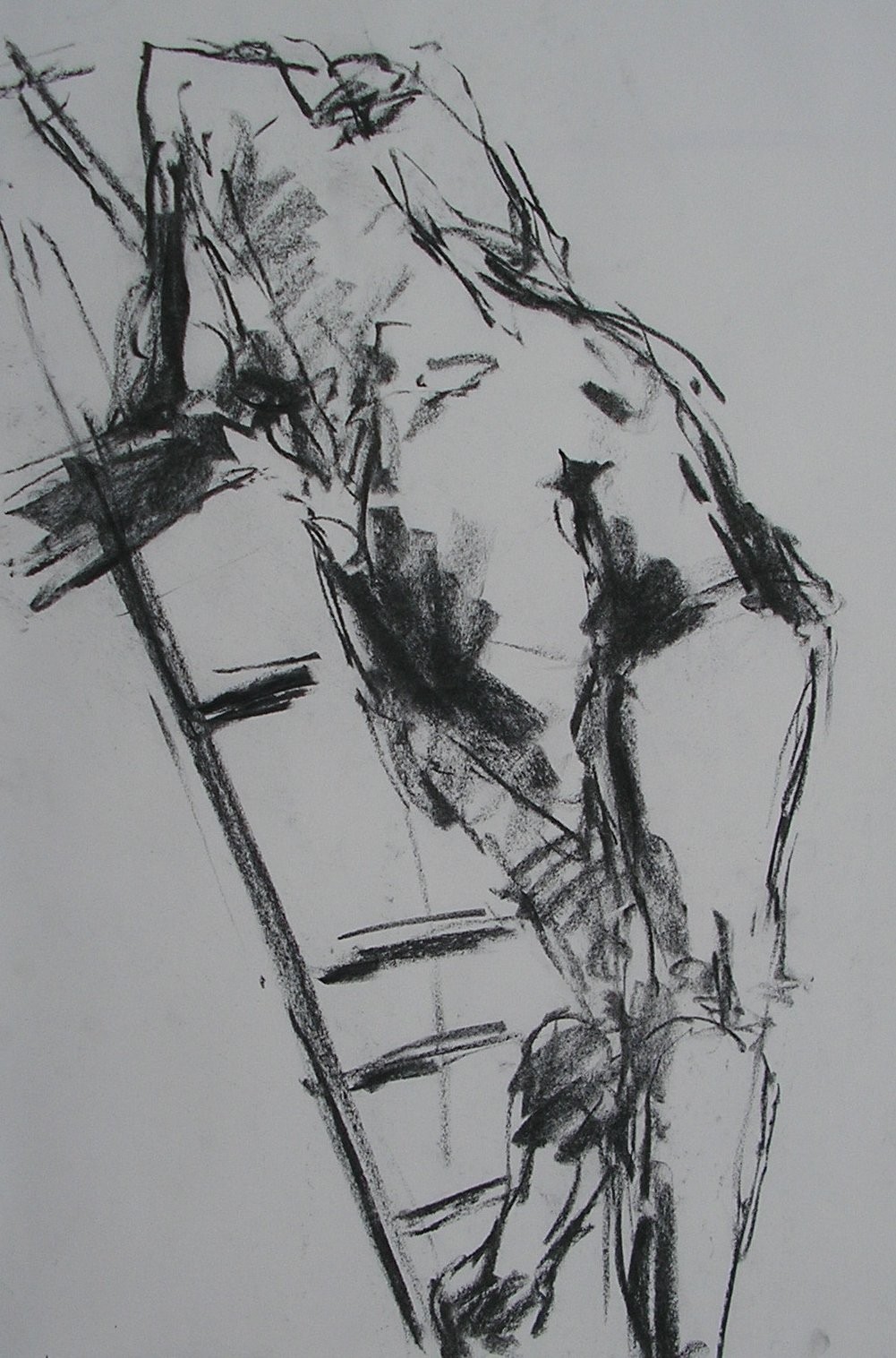 May 2016 006 on the step ladder.jpg
