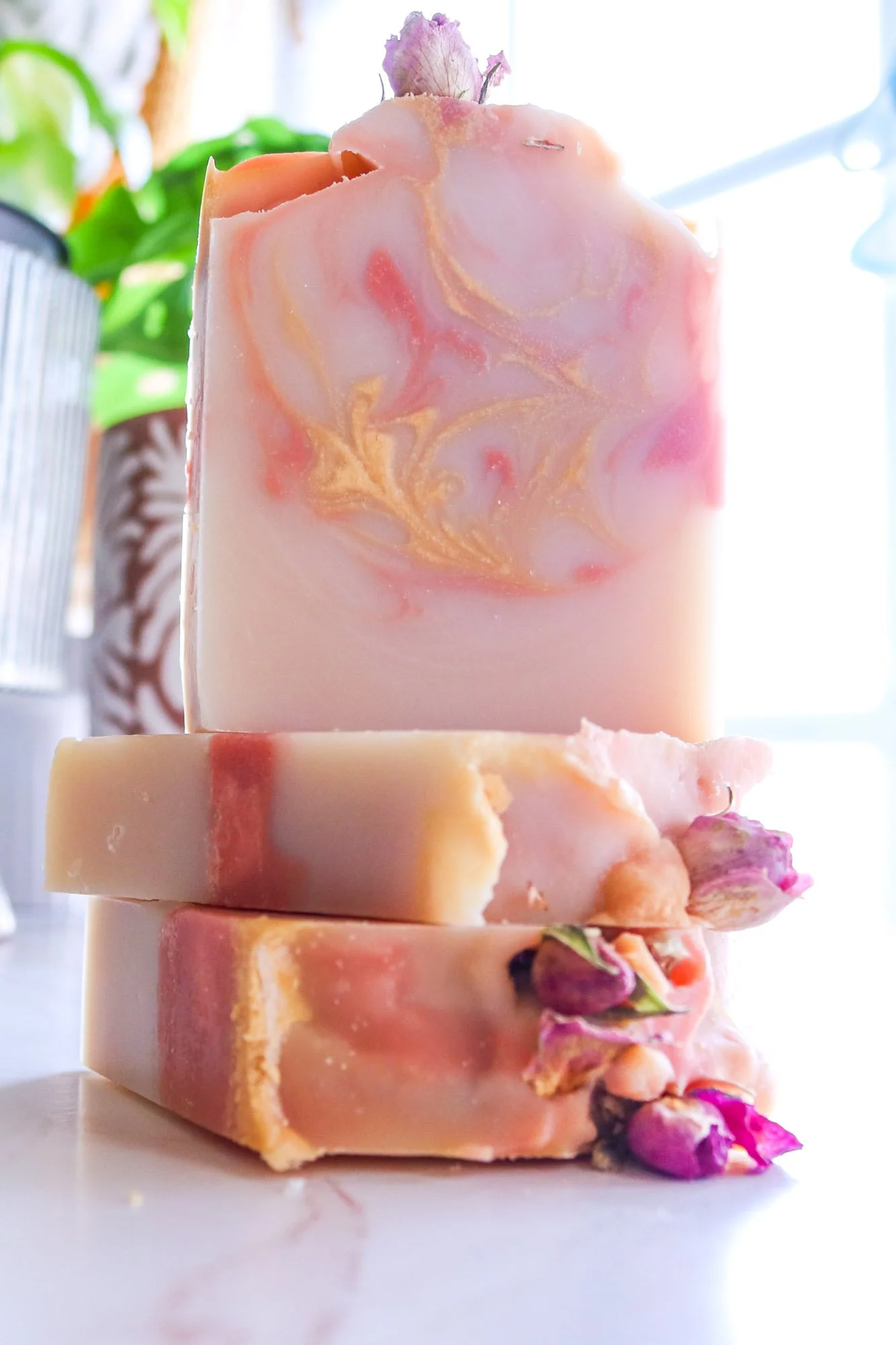 Peach_Rose_01.jpg