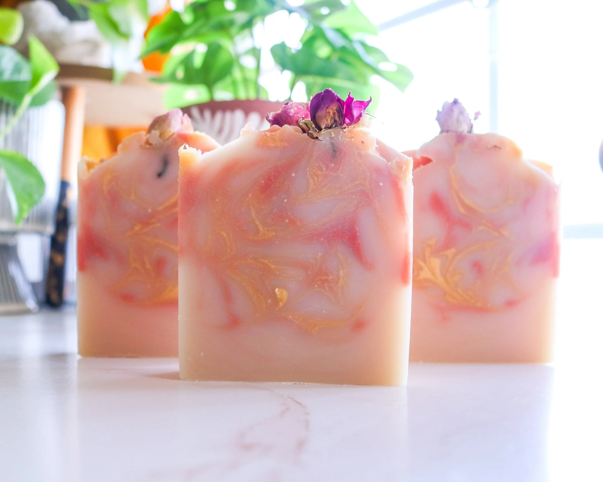 Peach_Rose_02.jpg