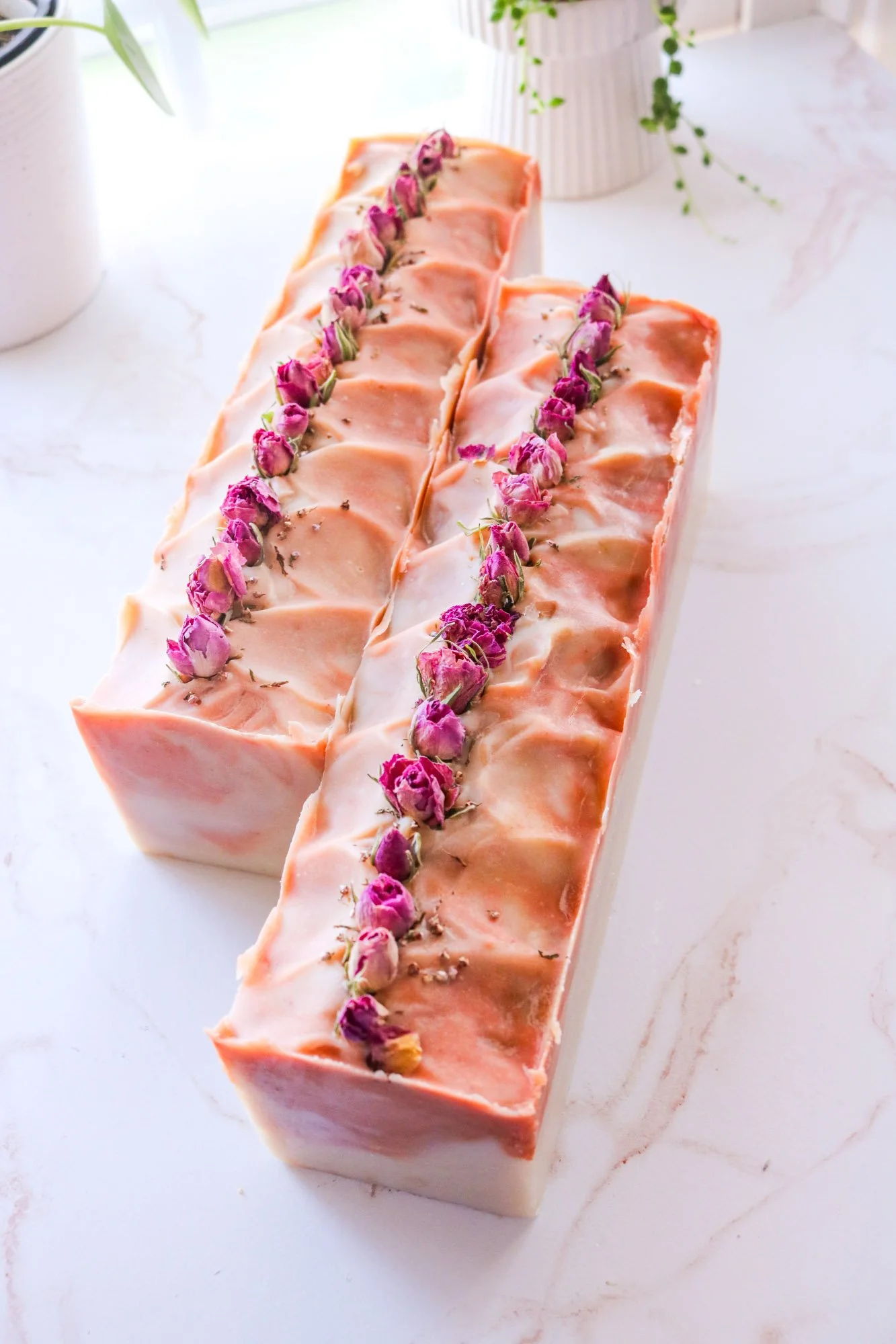 Peach_Rose_Whole.jpg