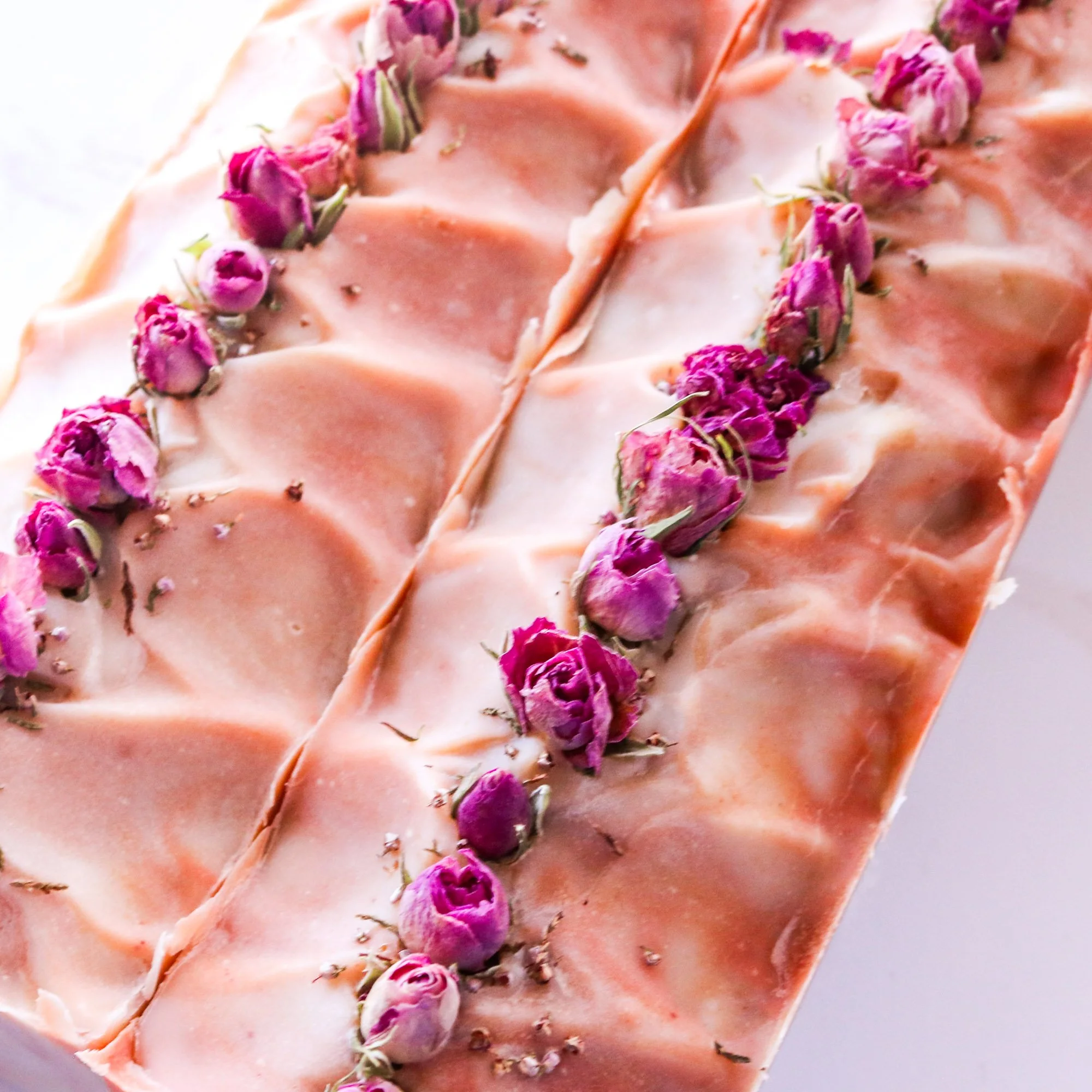 Peach_Rose_Whole_Closeup.jpg