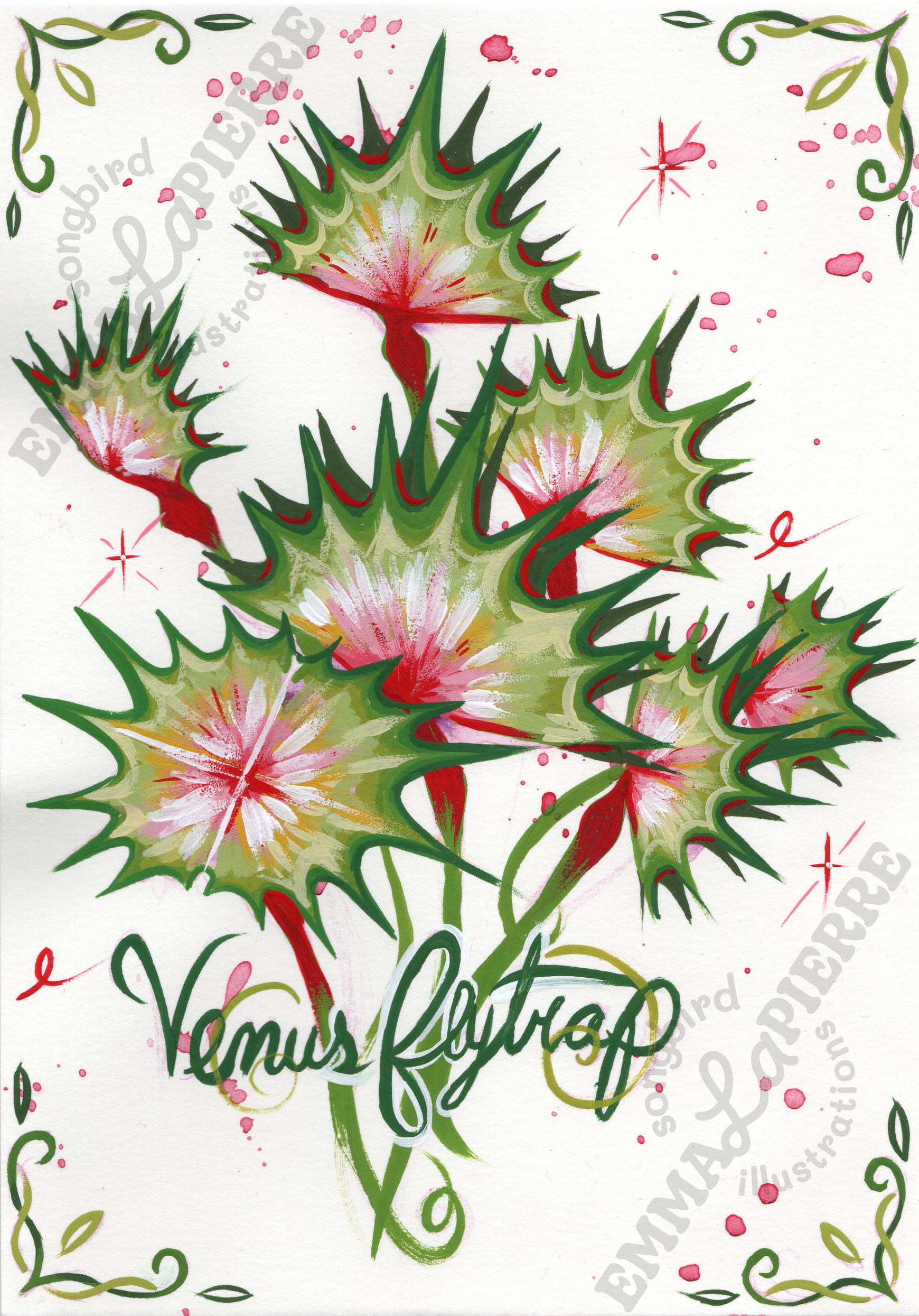 VenusFlytrap.png