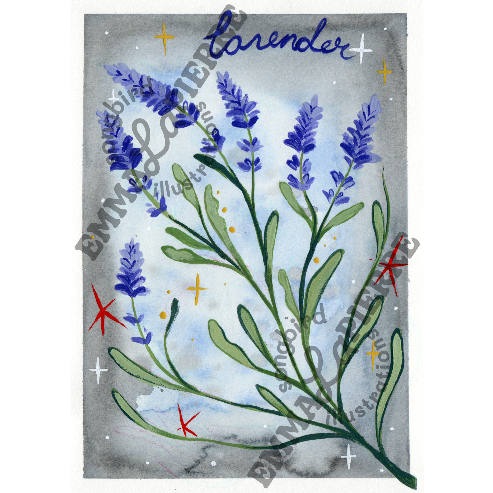 Lavender Poster