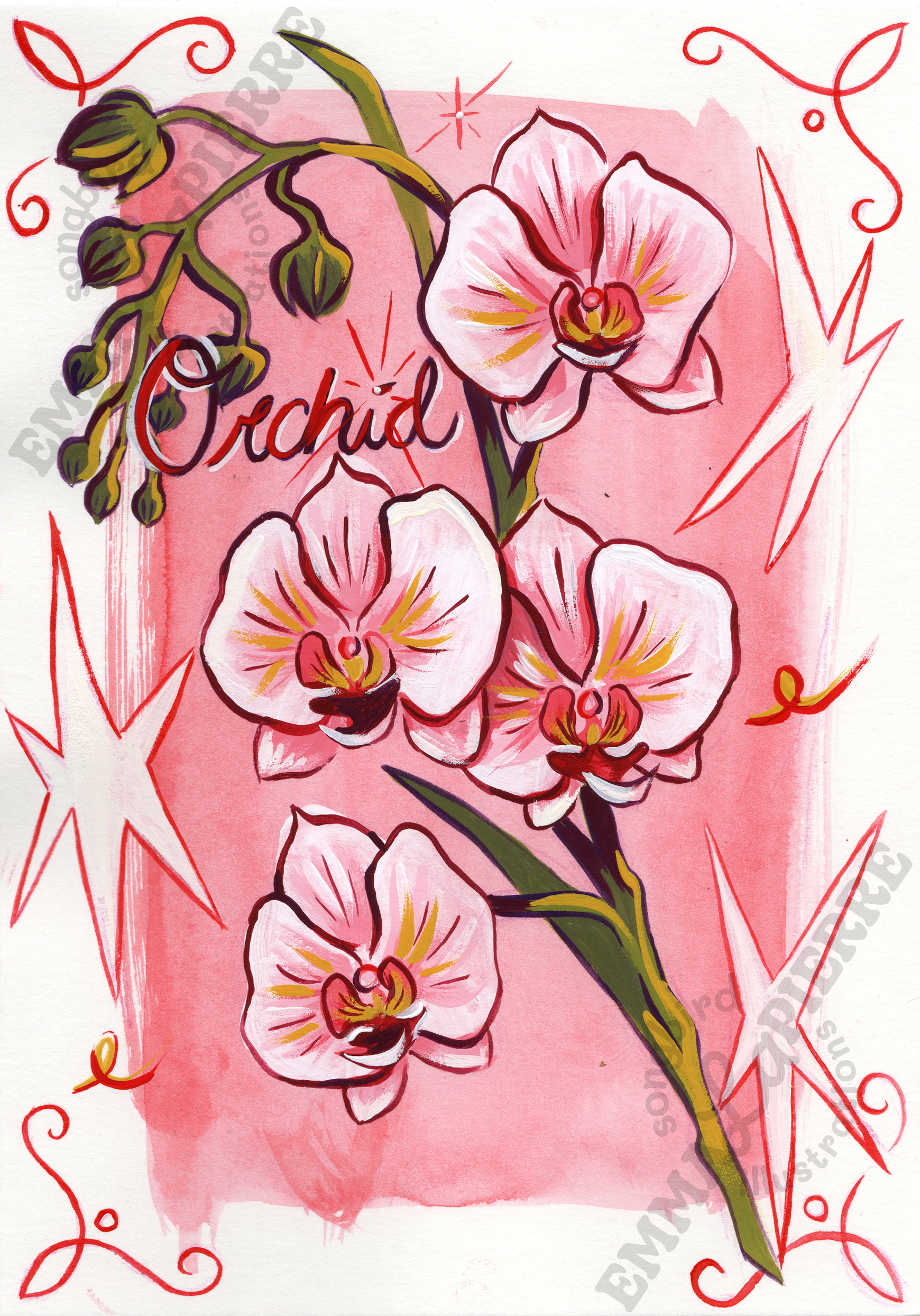 Orchid.png