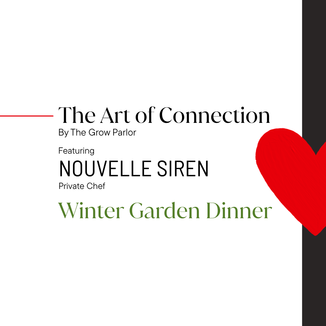 The Art of Connection - An Immersive Dinner Party featuring Nouvelle Siren