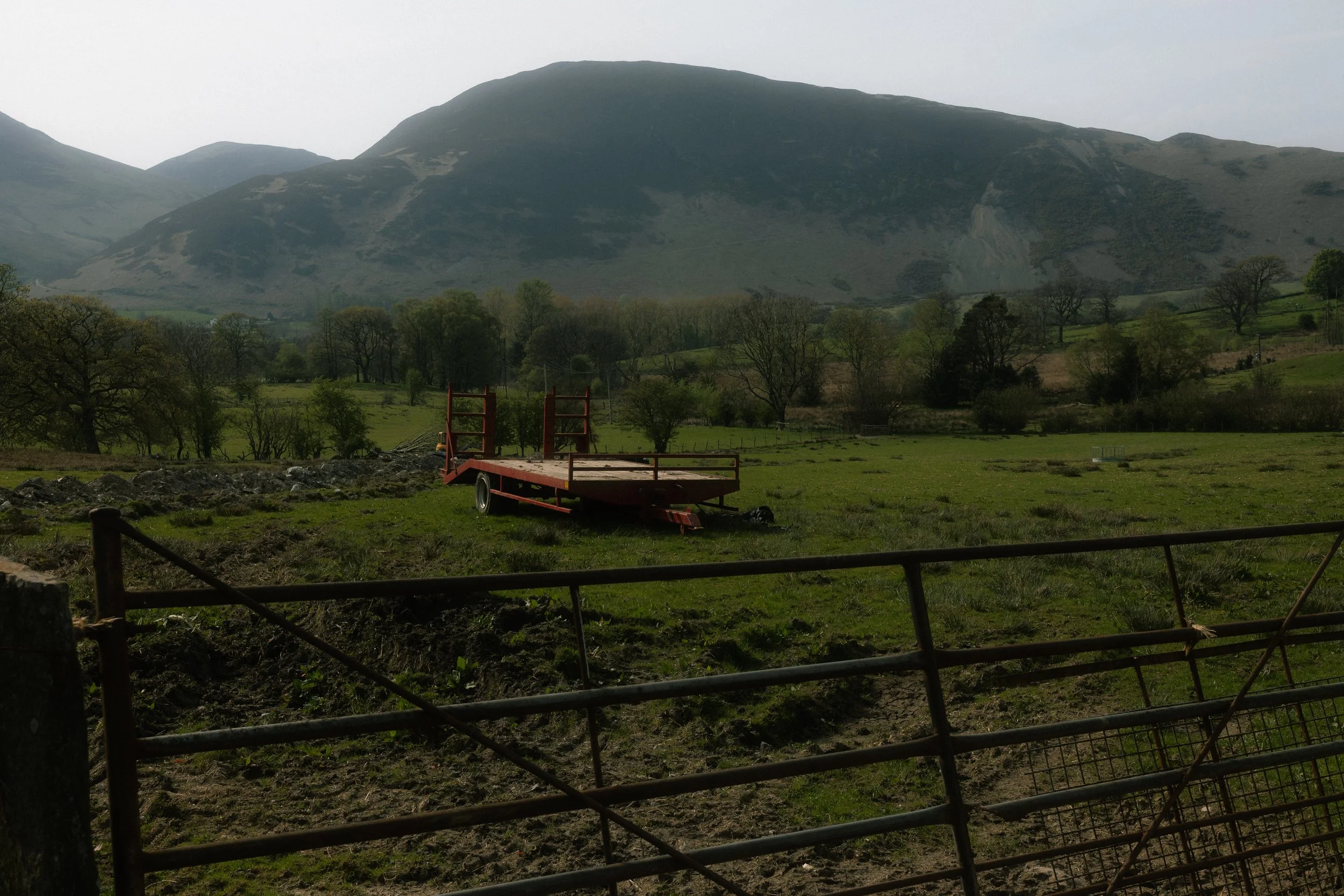 DSC02798.jpg