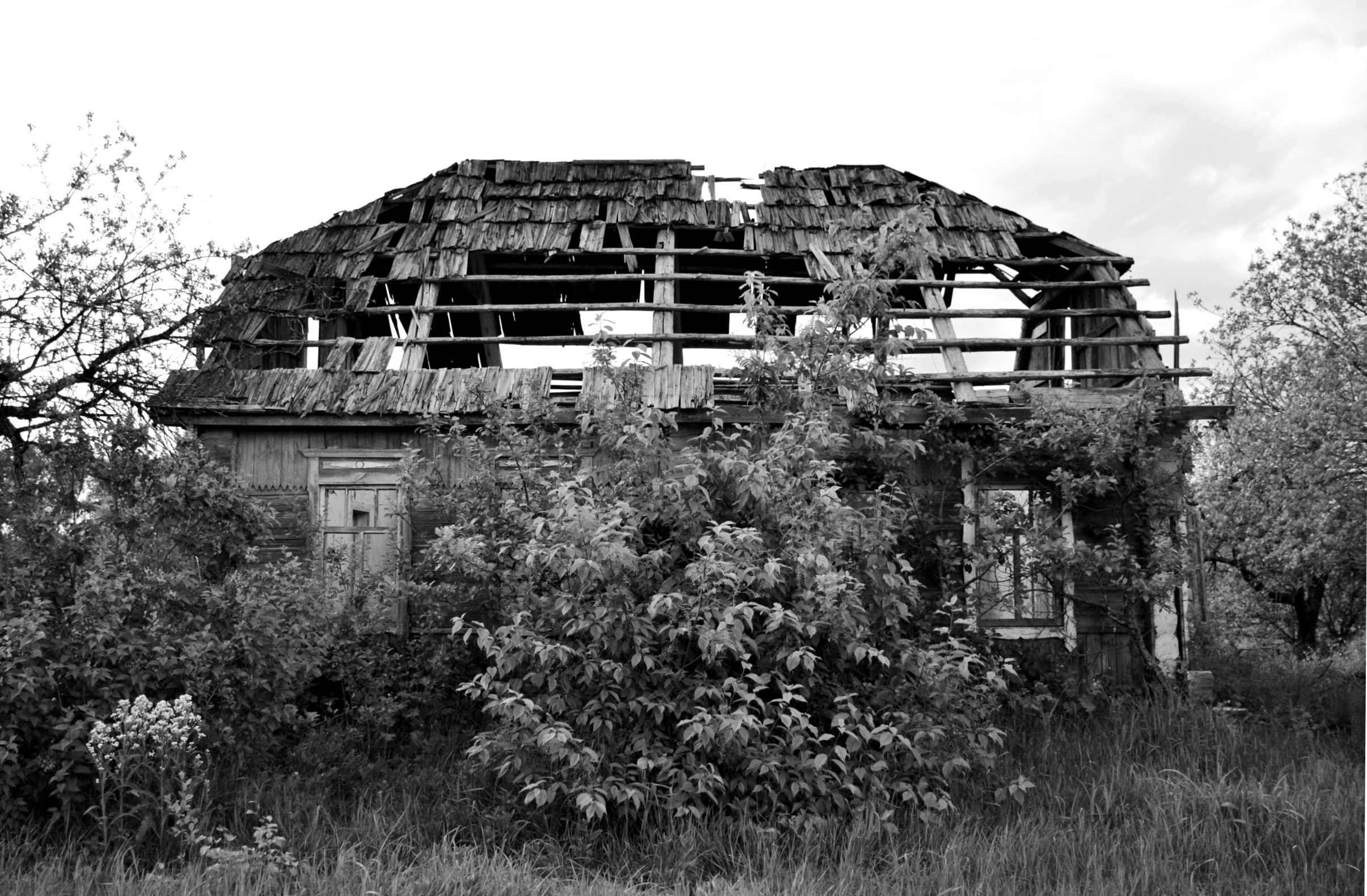 DSC_0500-scaled.png