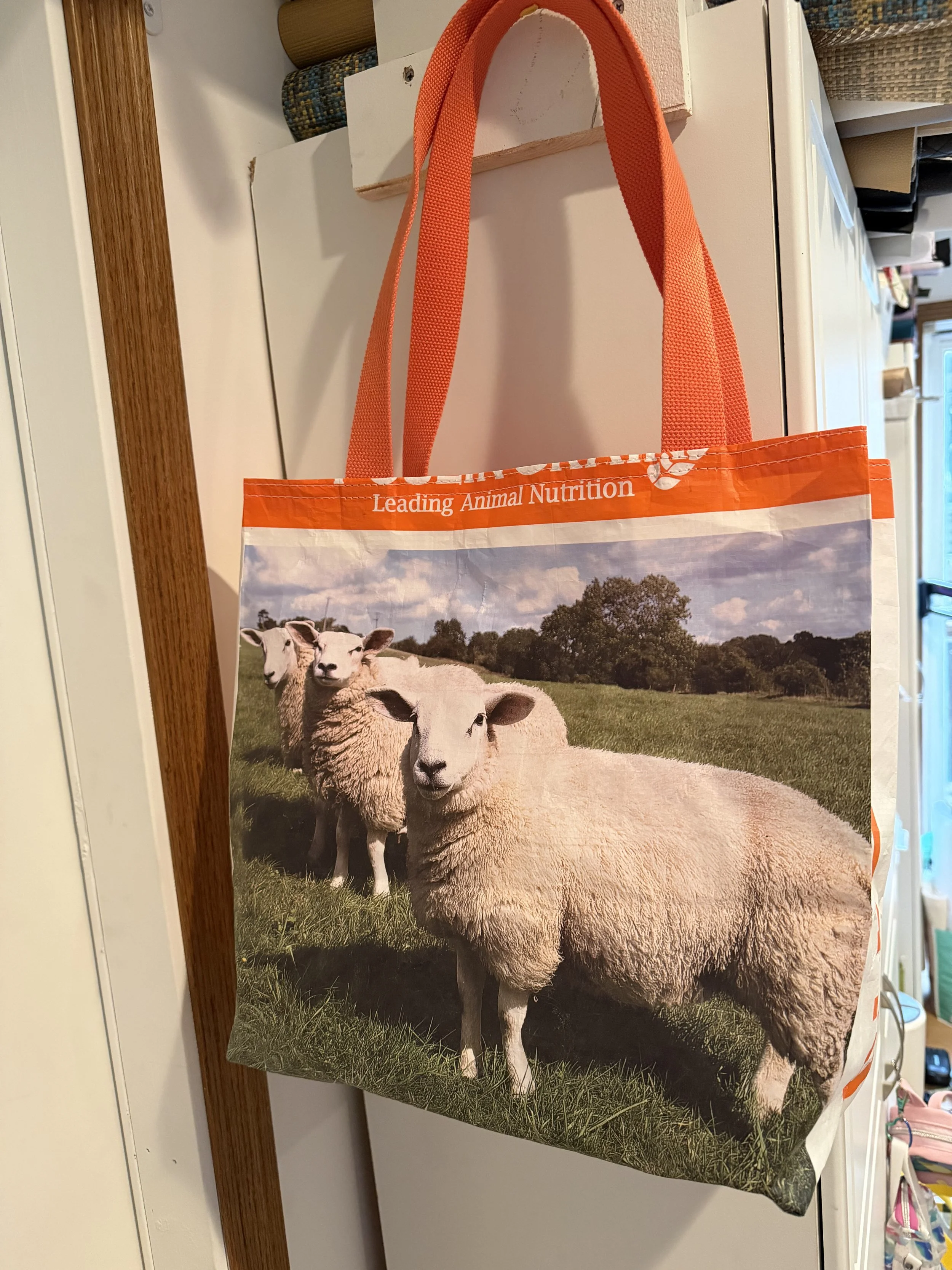 Chicken Feed Market Tote
